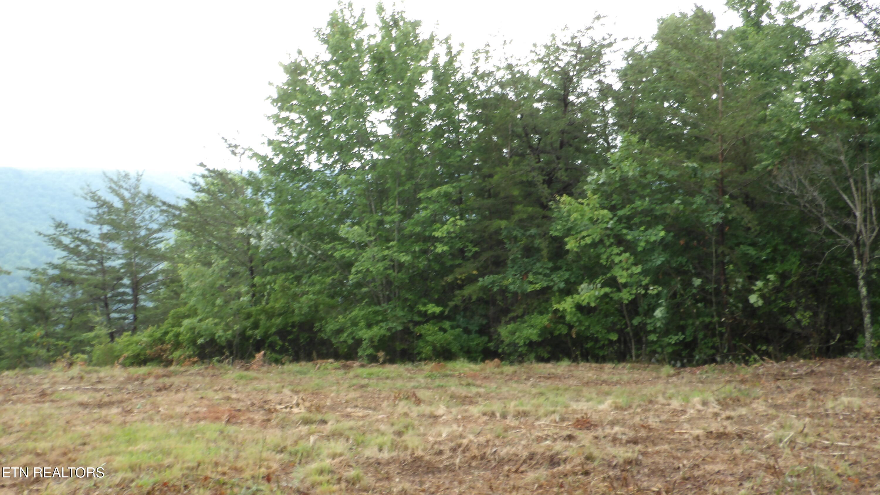 442 Valley View Circle Wilder TN 38589