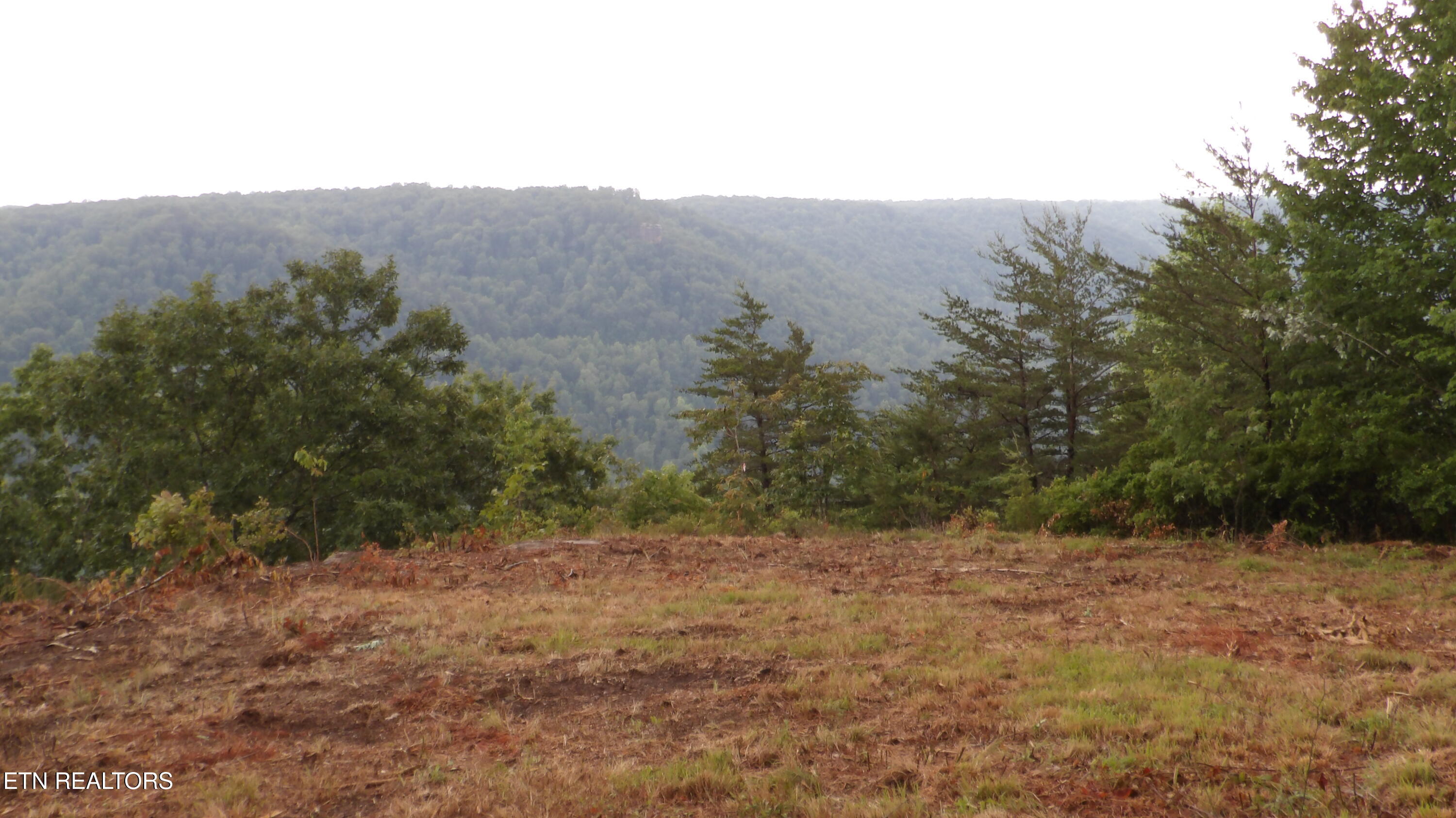 442 Valley View Circle Wilder TN 38589