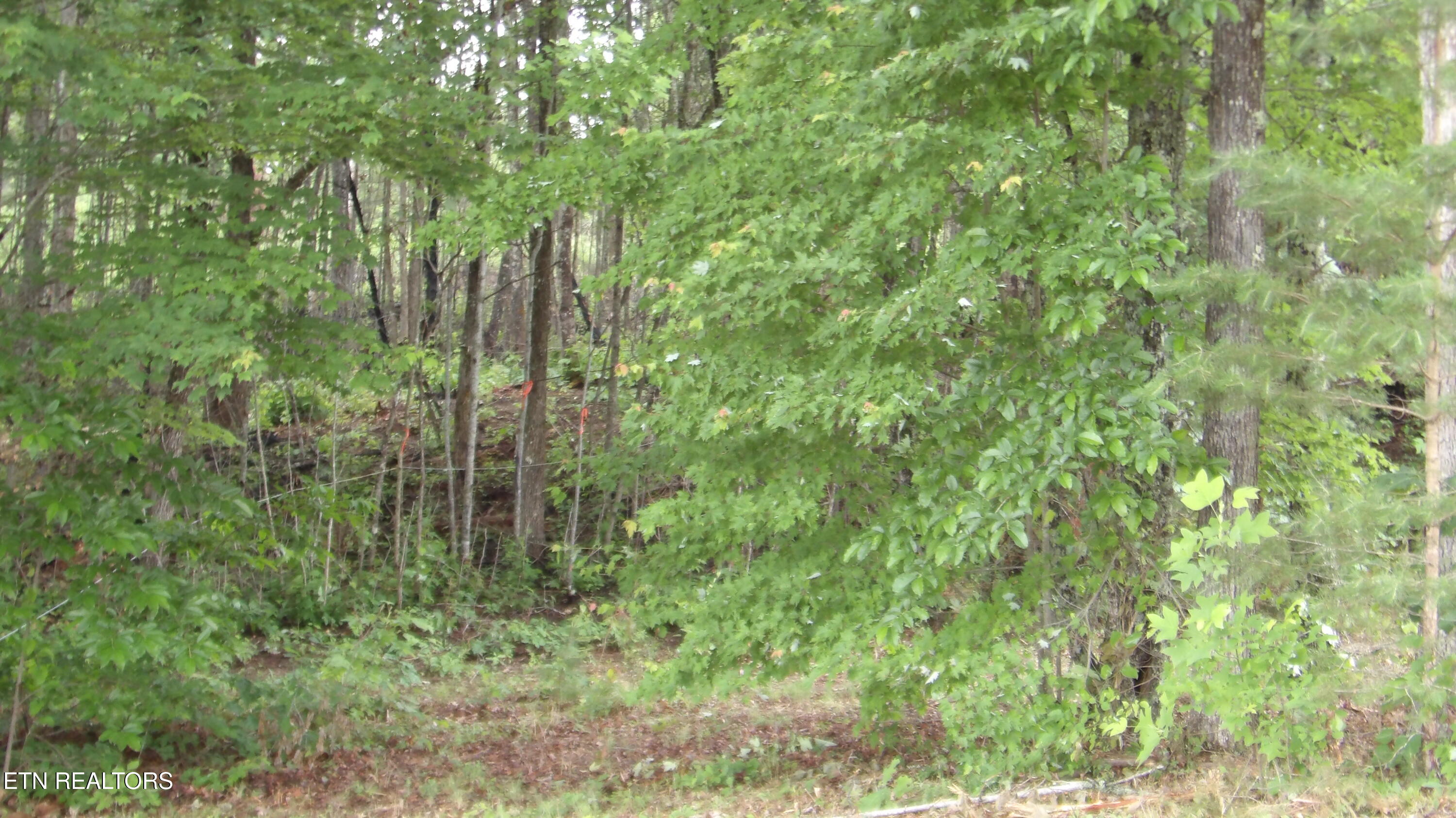 442 Valley View Circle Wilder TN 38589