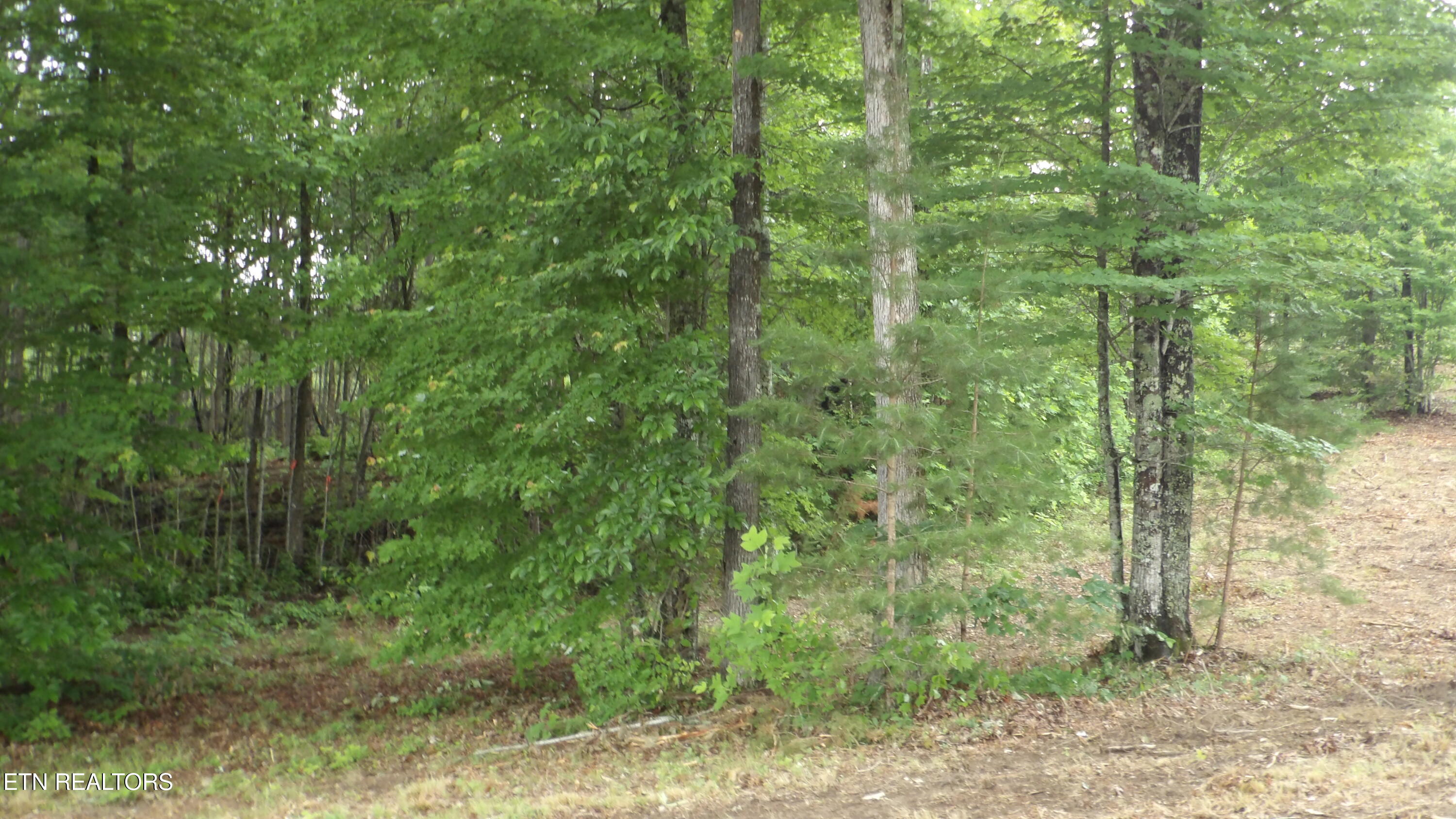 442 Valley View Circle Wilder TN 38589