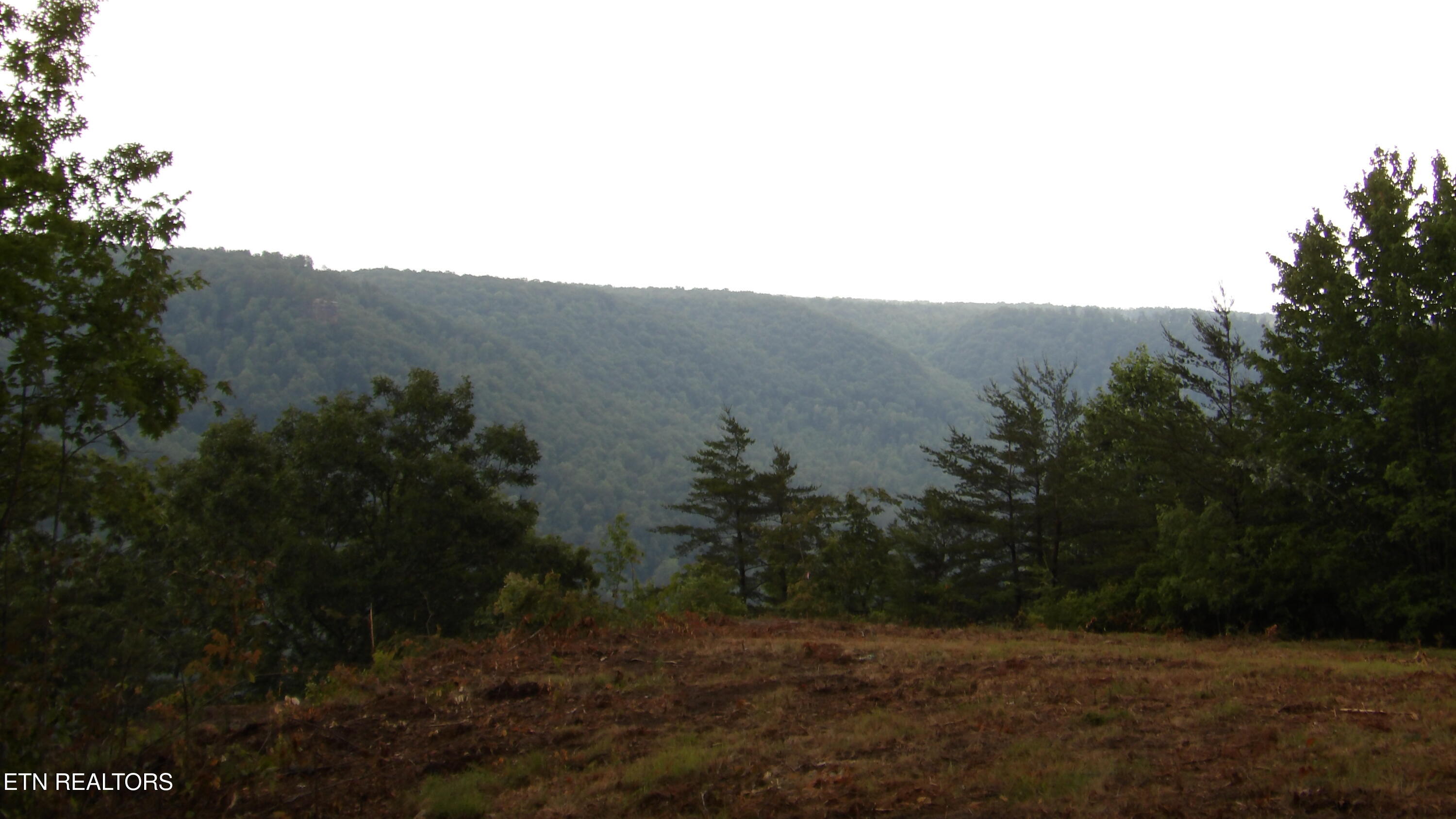 442 Valley View Circle Wilder TN 38589