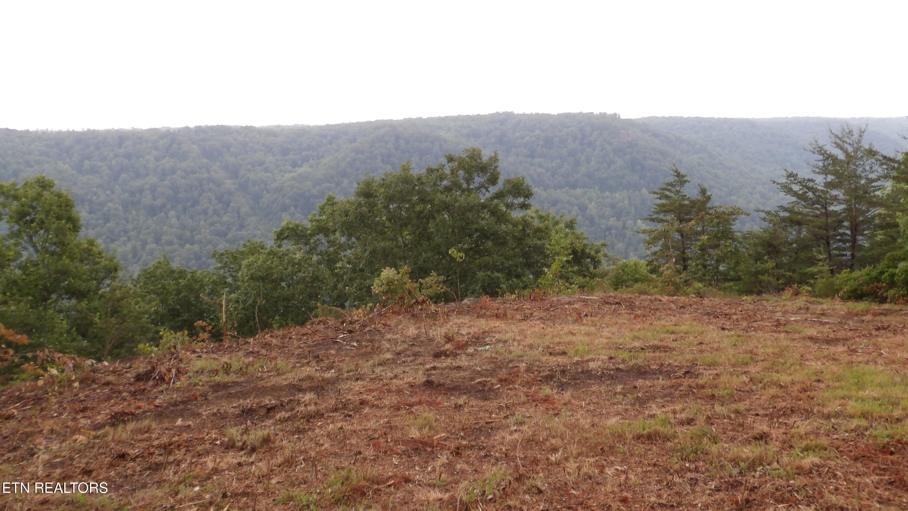442 Valley View Circle Wilder TN 38589