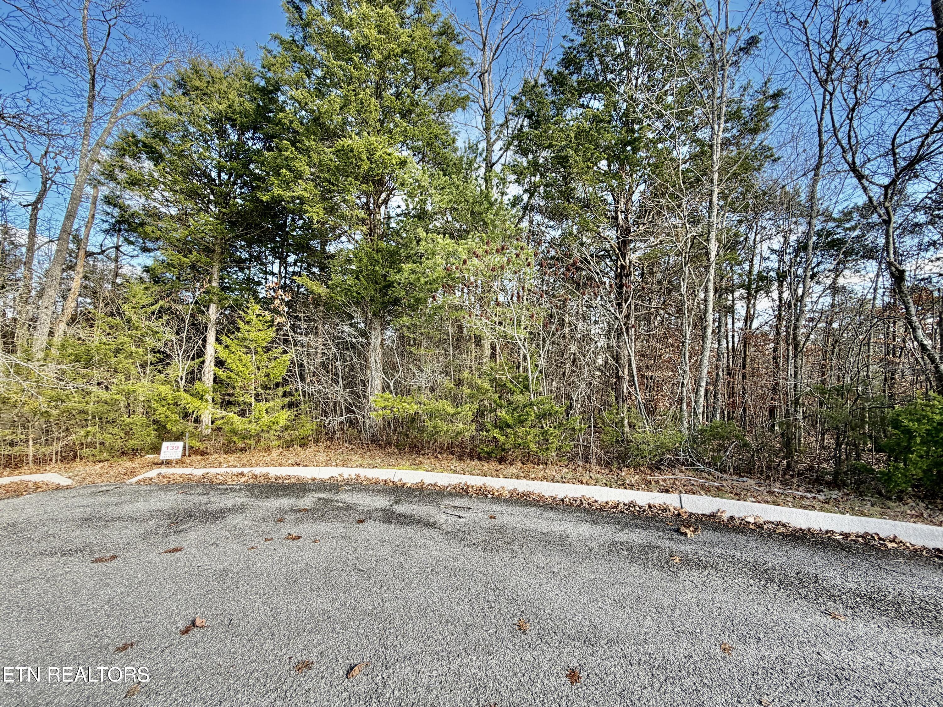 Divot Place Tazewell TN 37879