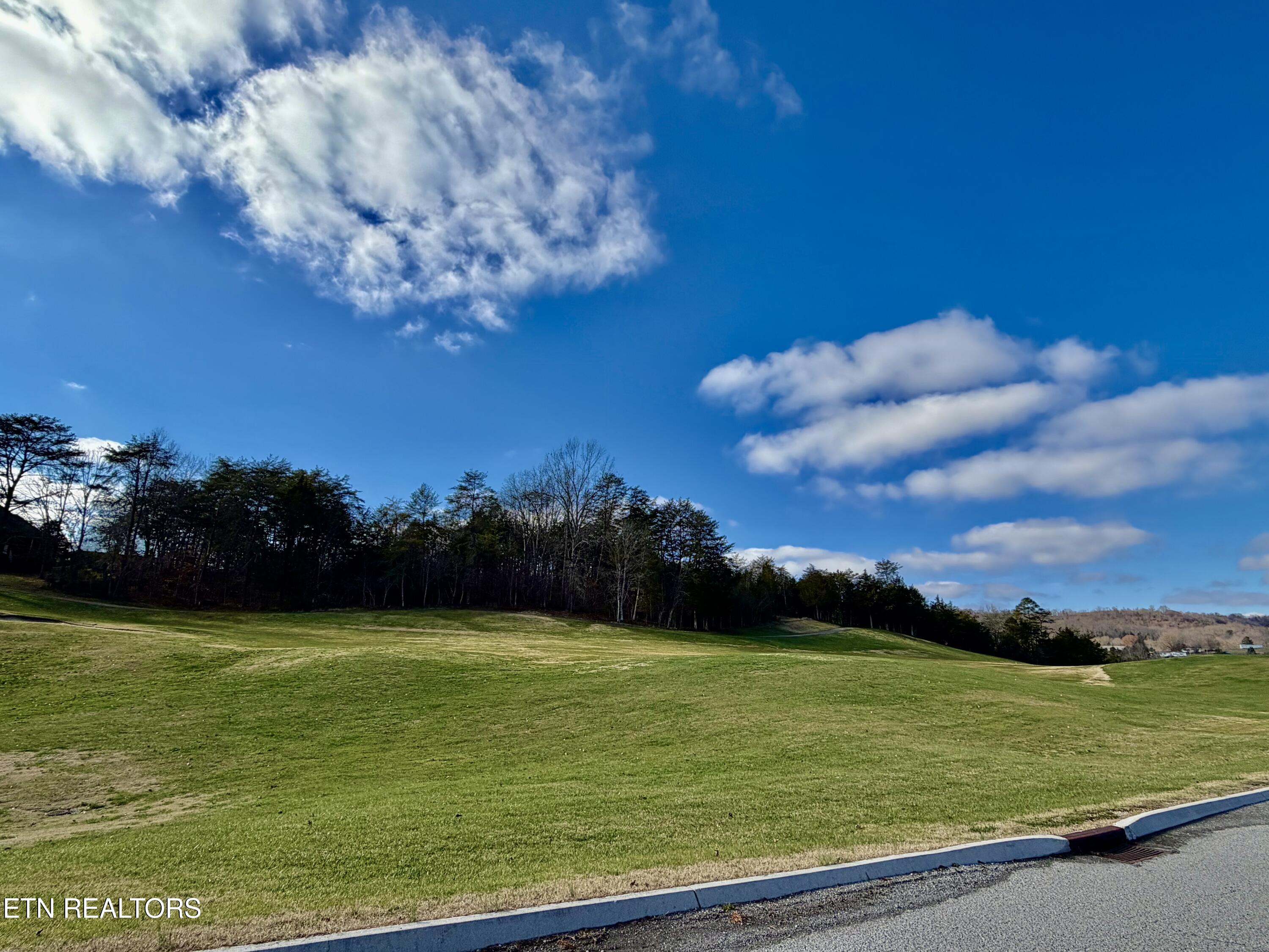 Divot Place Tazewell TN 37879