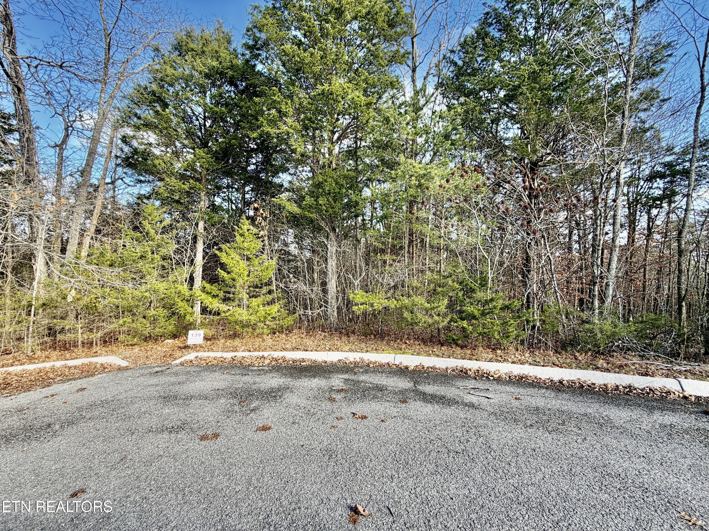 Divot Place Tazewell TN 37879