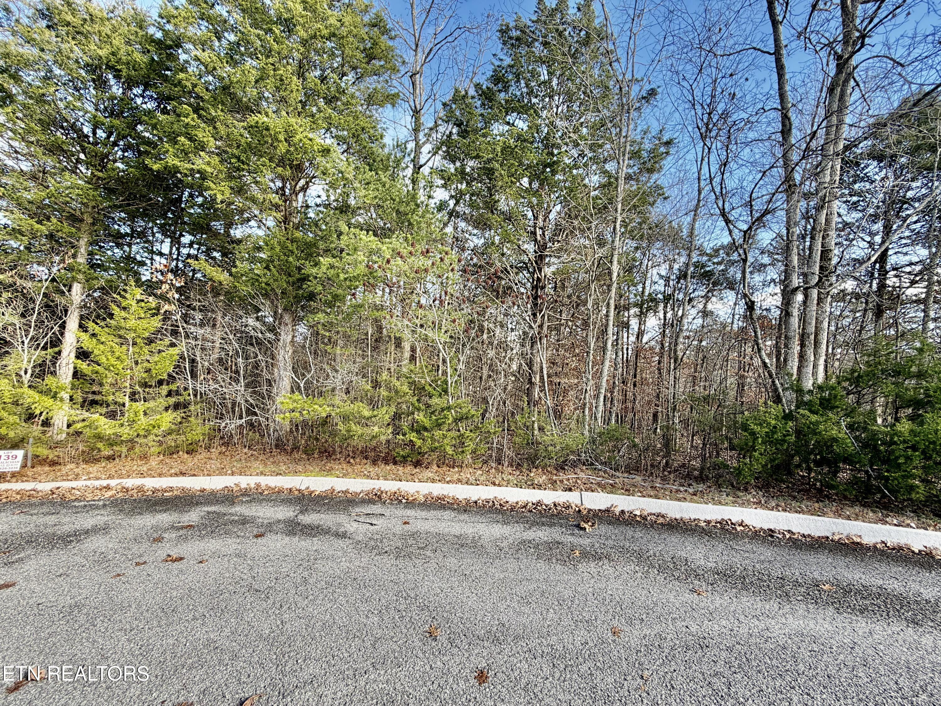 Divot Place Tazewell TN 37879