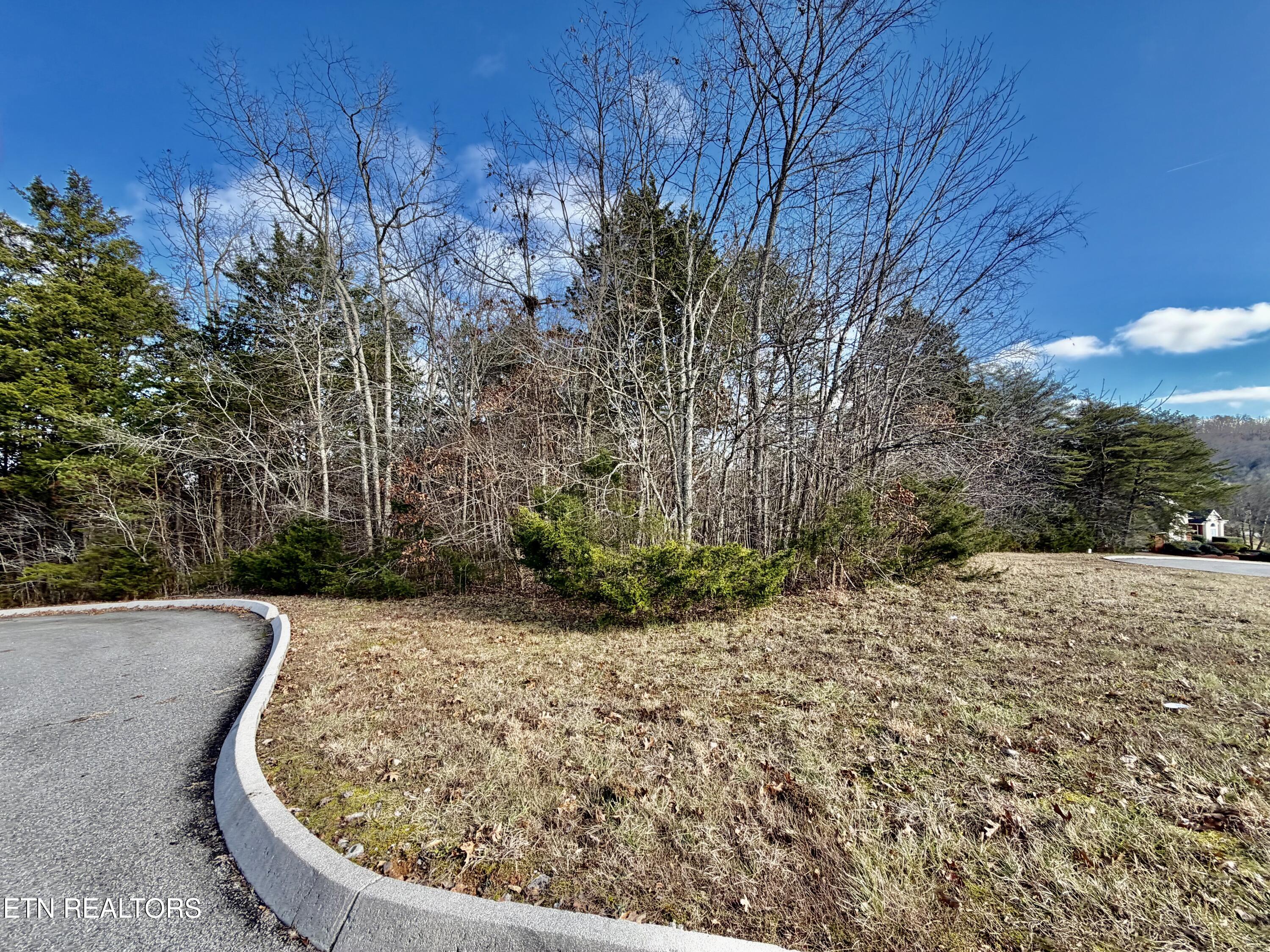 Divot Place Tazewell TN 37879