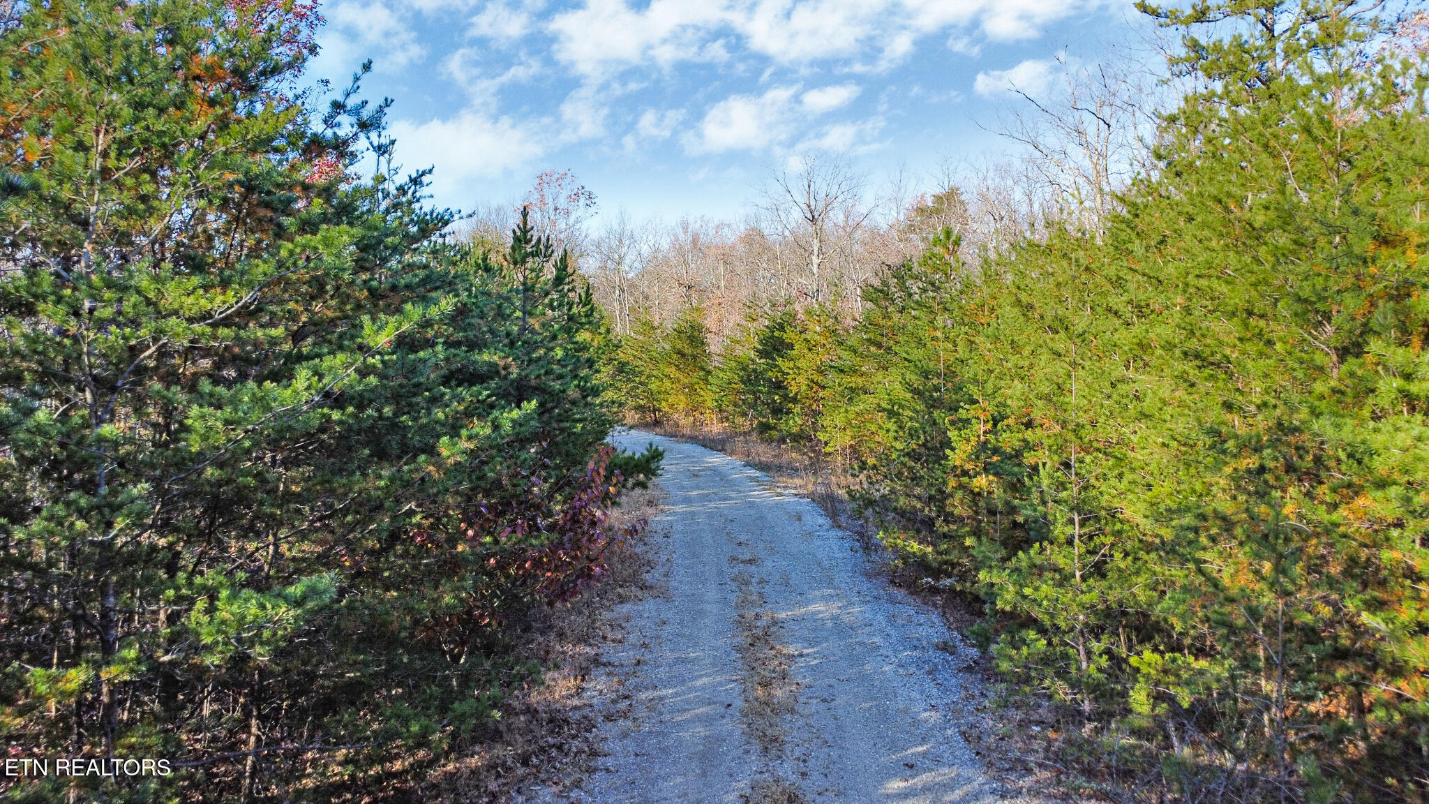 0 Maple Lane Pikeville TN 37367