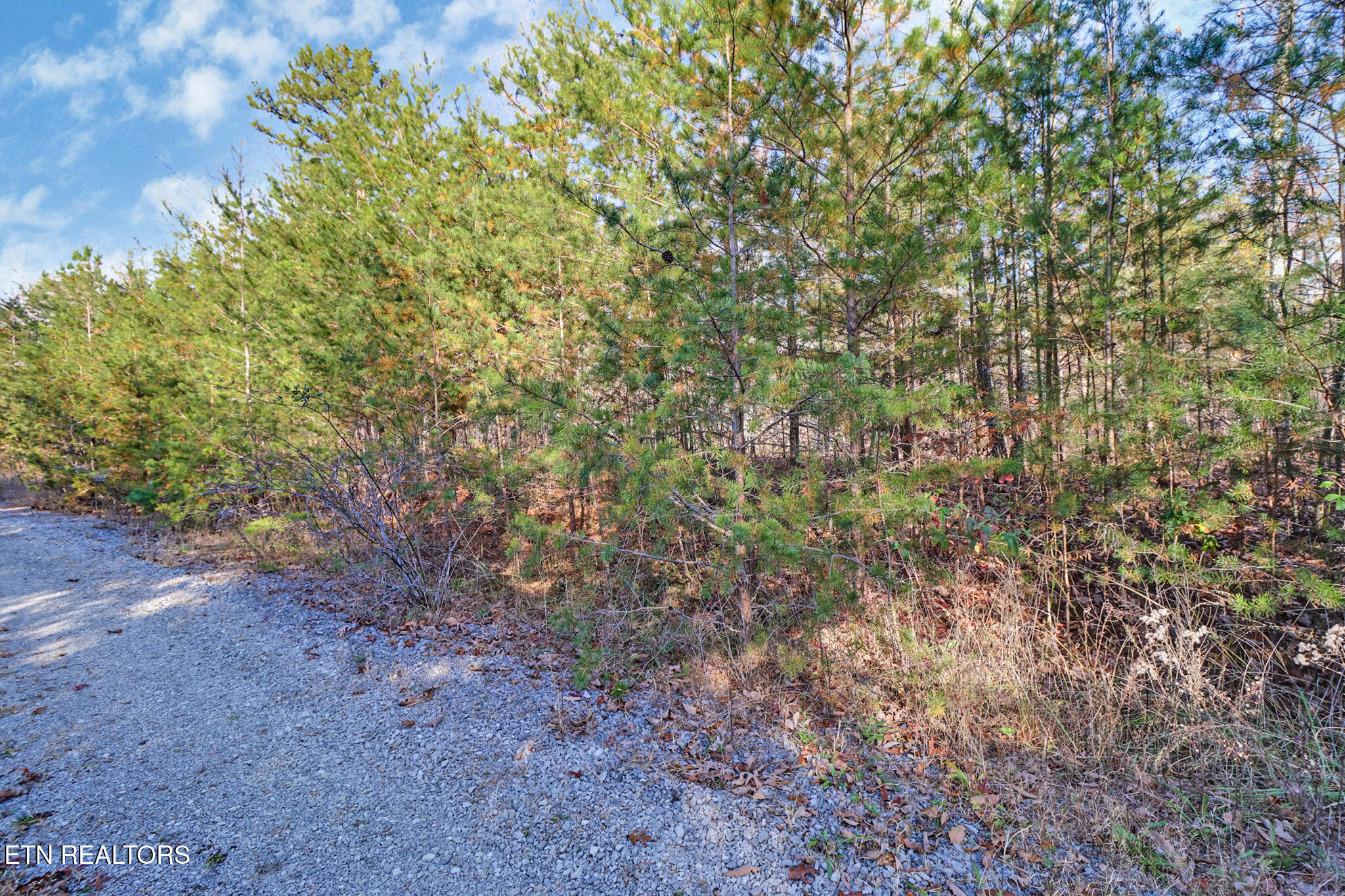 0 Maple Lane Pikeville TN 37367