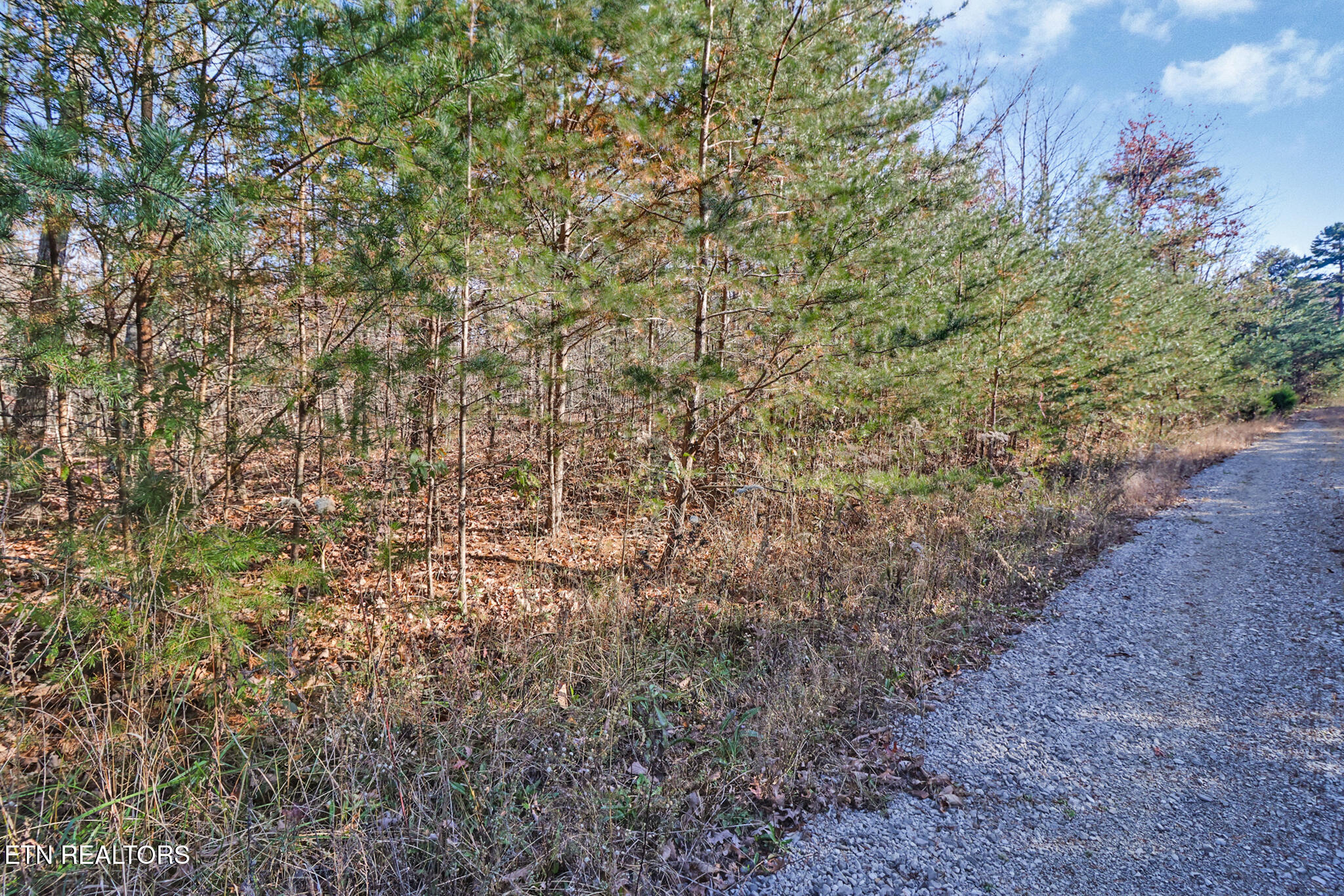 0 Maple Lane Pikeville TN 37367