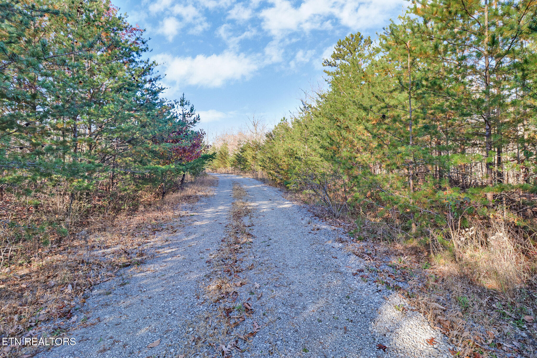 0 Maple Lane Pikeville TN 37367
