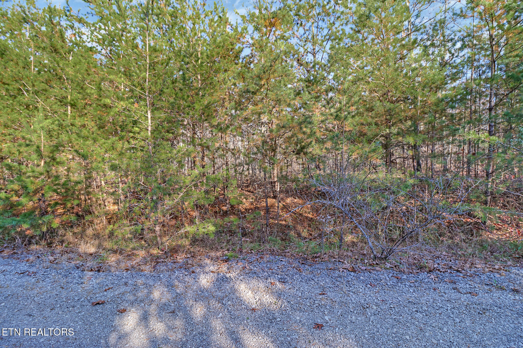 0 Maple Lane Pikeville TN 37367