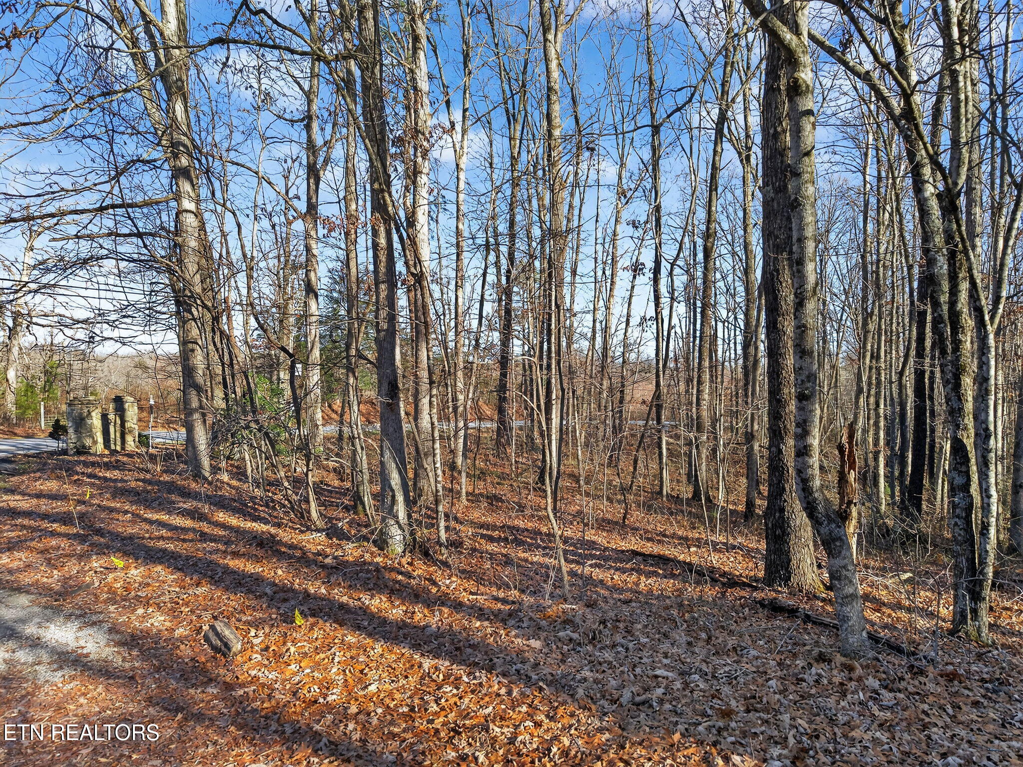 Hwy 70 N Monterey TN 38574