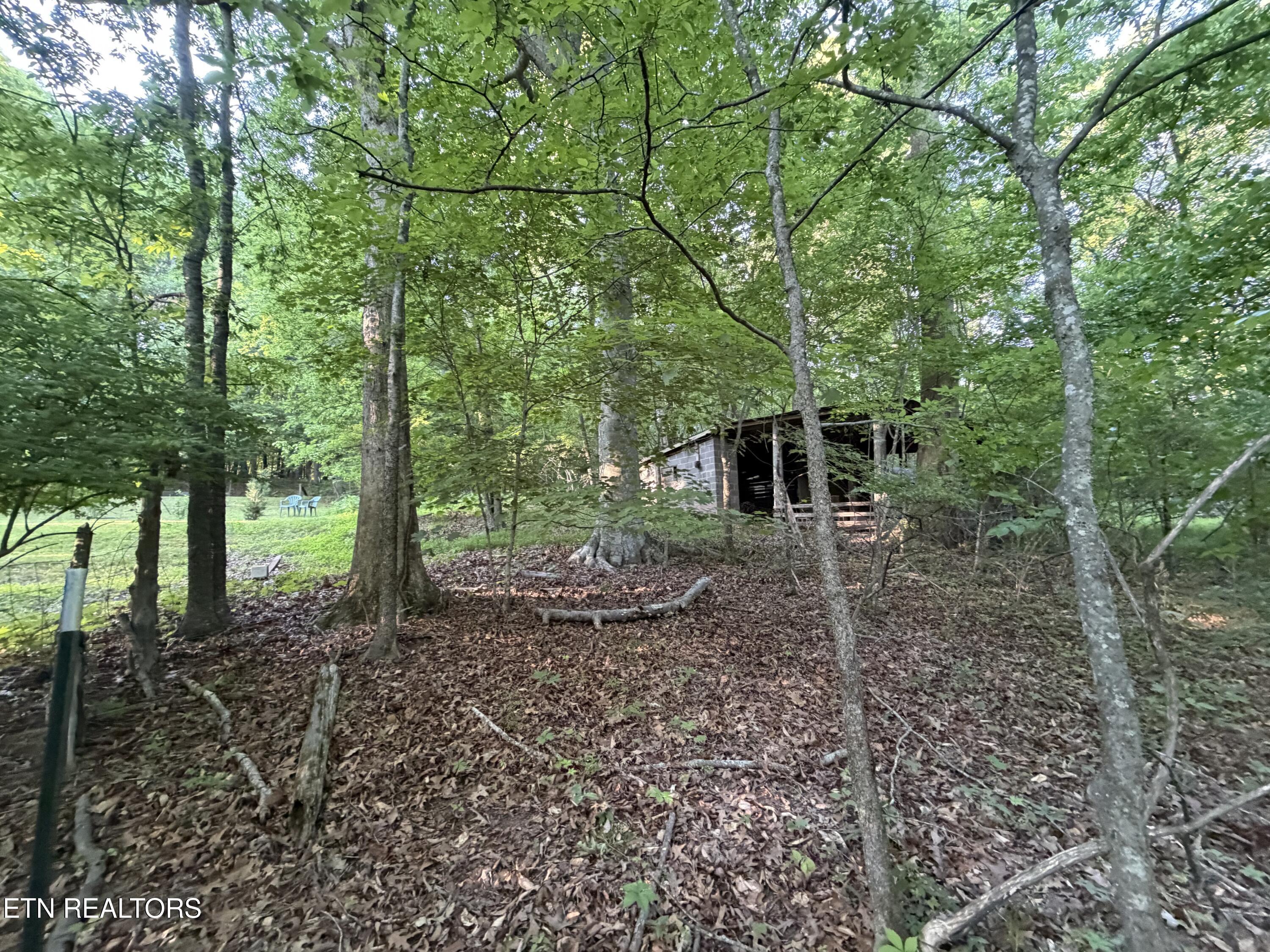 White Wing Road Lenoir City TN 37771