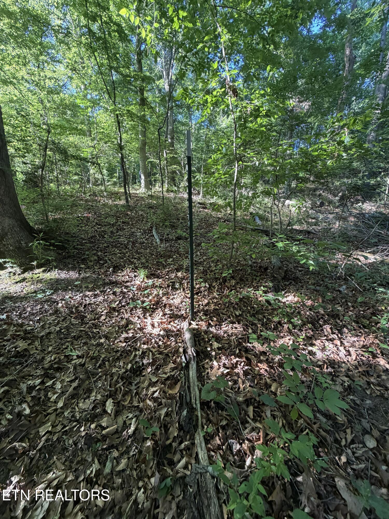 White Wing Road Lenoir City TN 37771