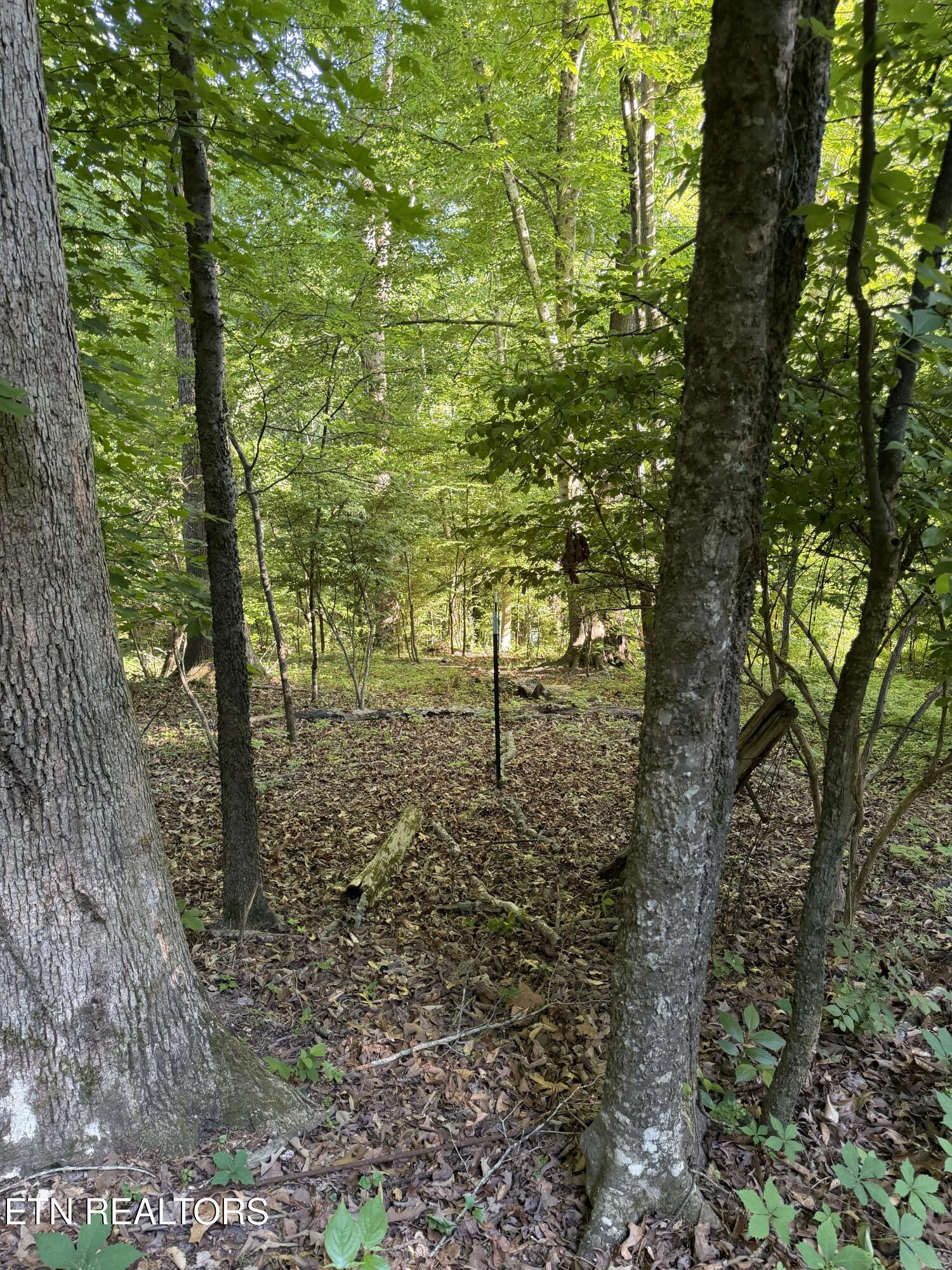 White Wing Road Lenoir City TN 37771