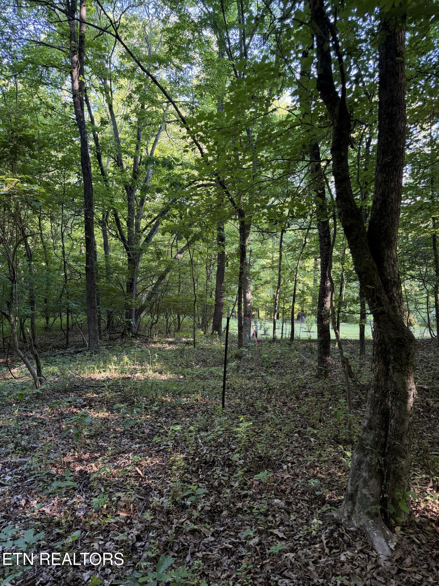 White Wing Road Lenoir City TN 37771