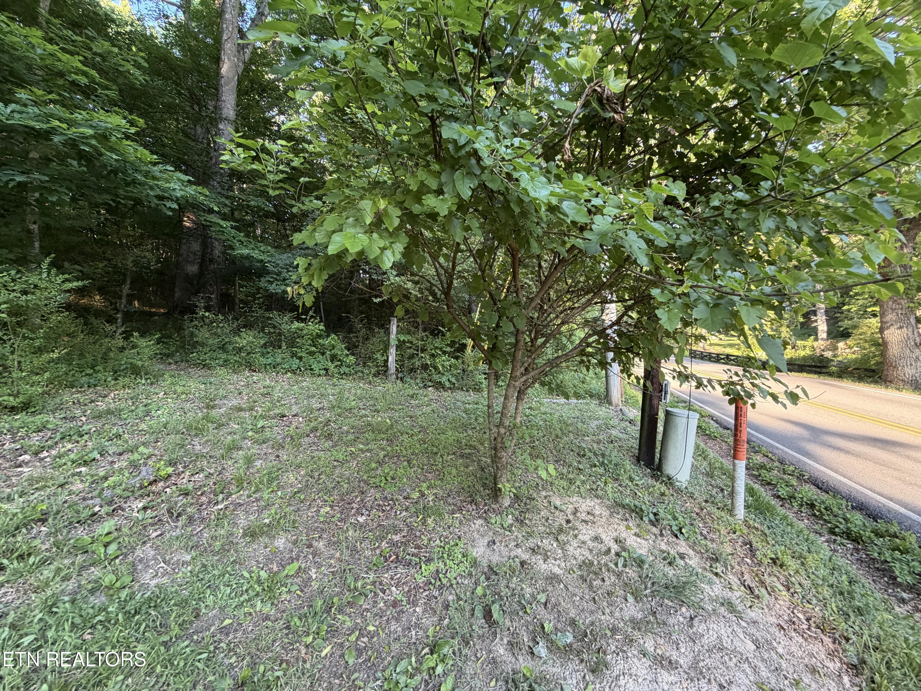 White Wing Road Lenoir City TN 37771