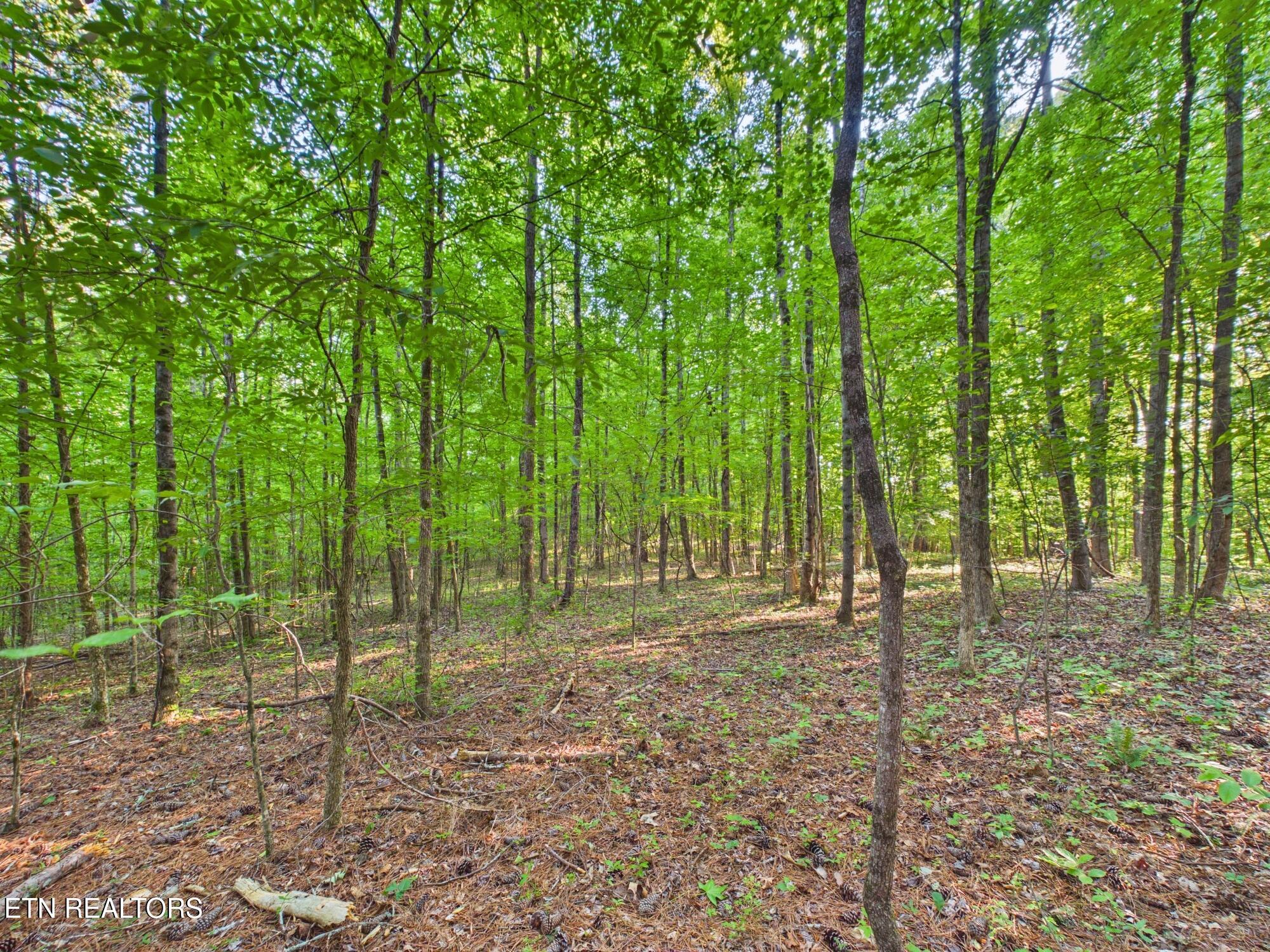 White Wing Road Lenoir City TN 37771