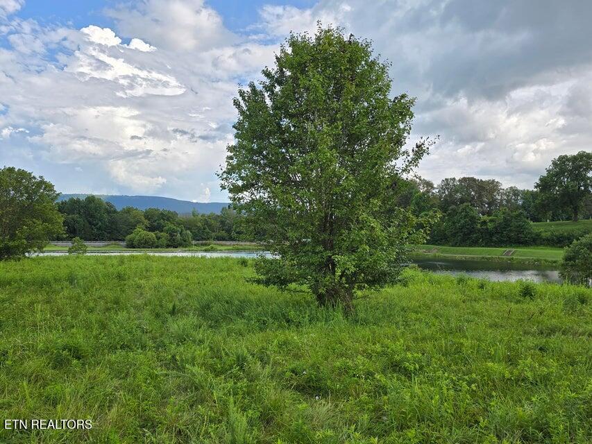 Lot 1 Spring Lake Drive Dunlap TN 37327