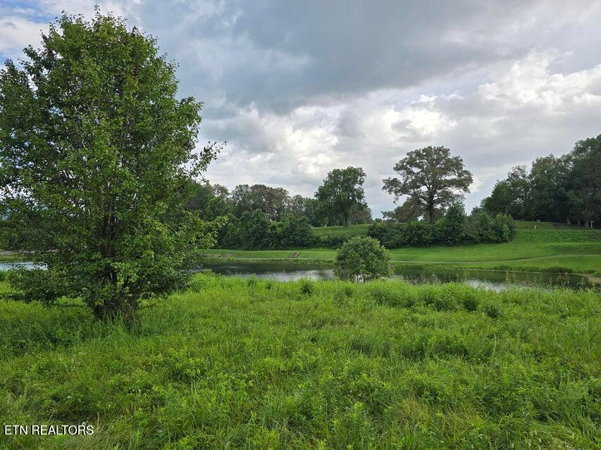 Lot 1 Spring Lake Drive Dunlap TN 37327
