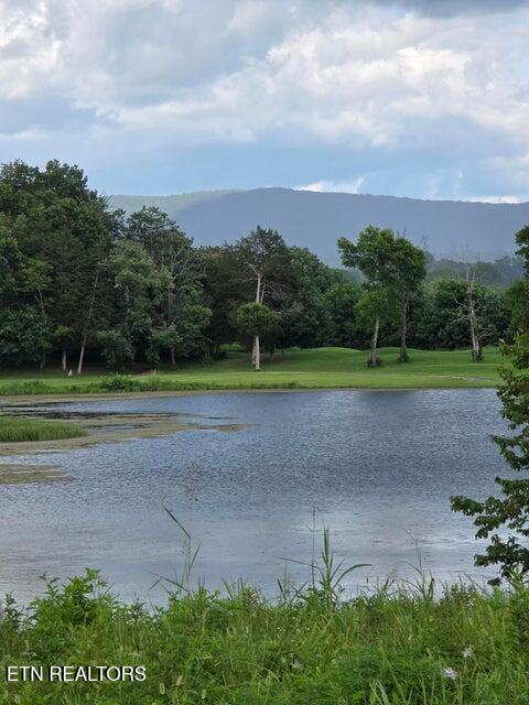 Lot 1 Spring Lake Drive Dunlap TN 37327