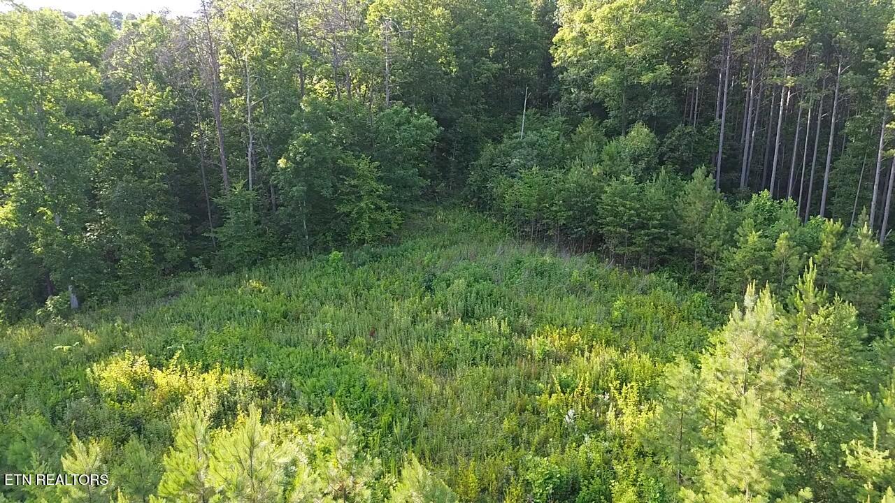 Lot 35 Winding Trail Vonore TN 37885