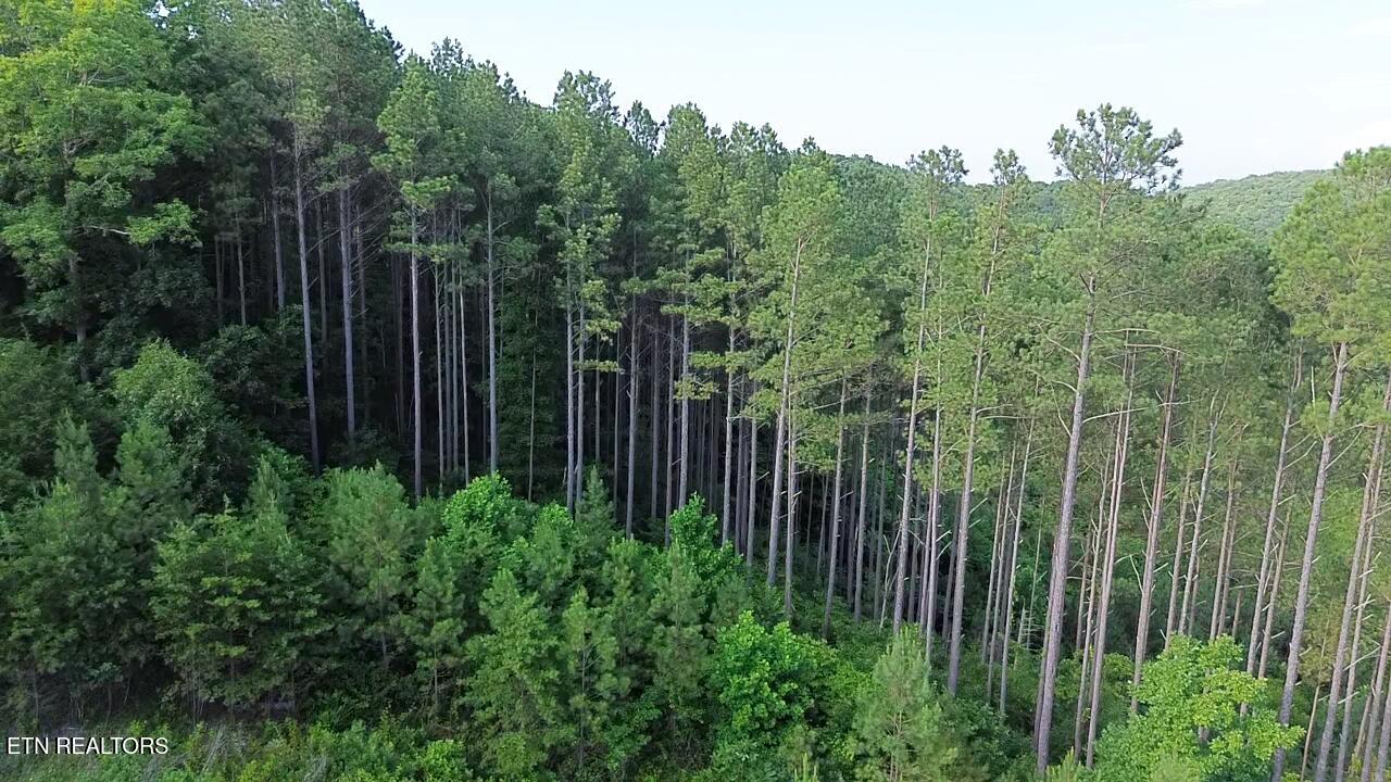 Lot 35 Winding Trail Vonore TN 37885