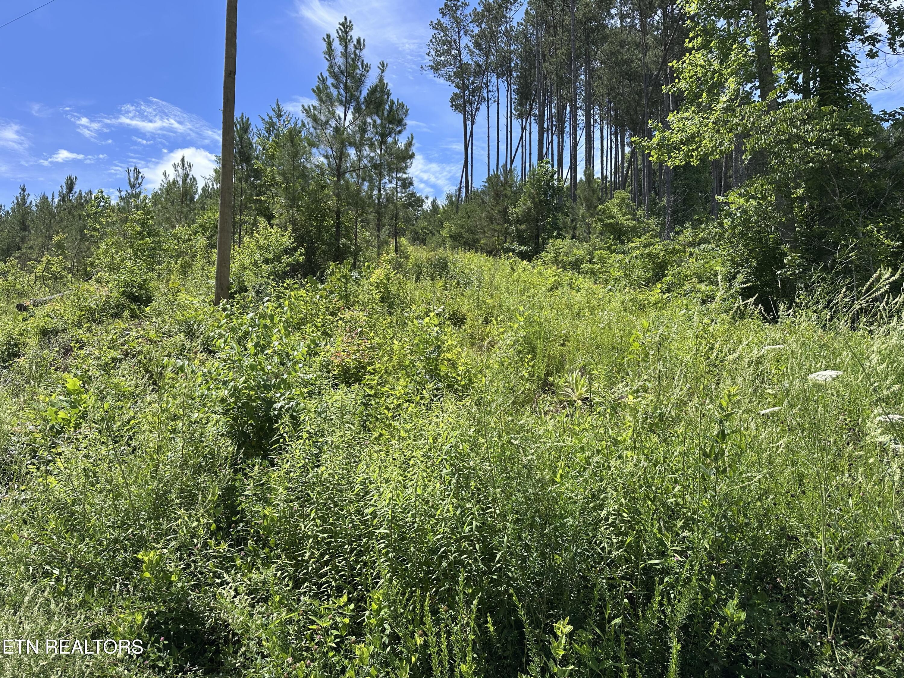 Lot 35 Winding Trail Vonore TN 37885