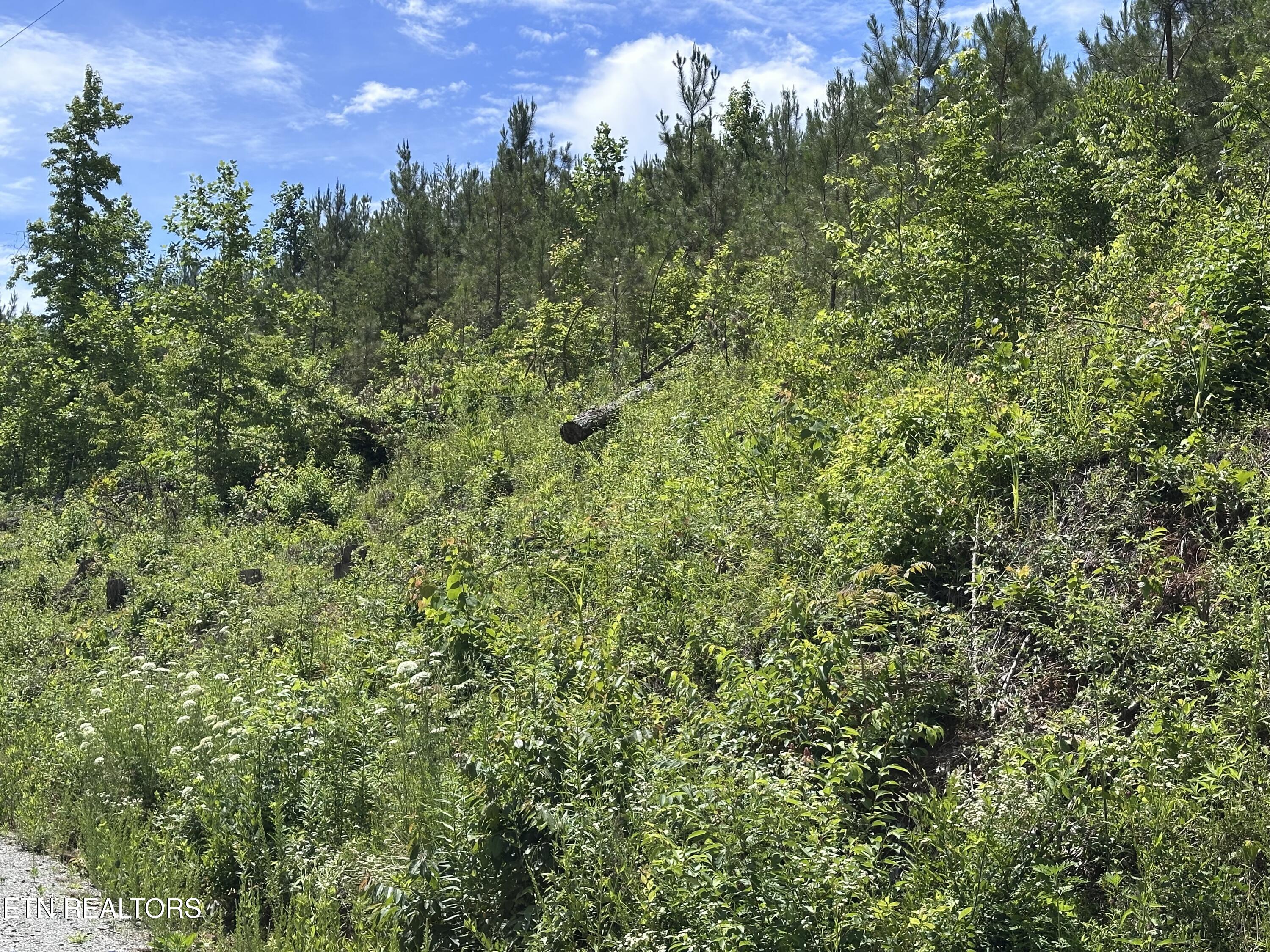 Lot 35 Winding Trail Vonore TN 37885
