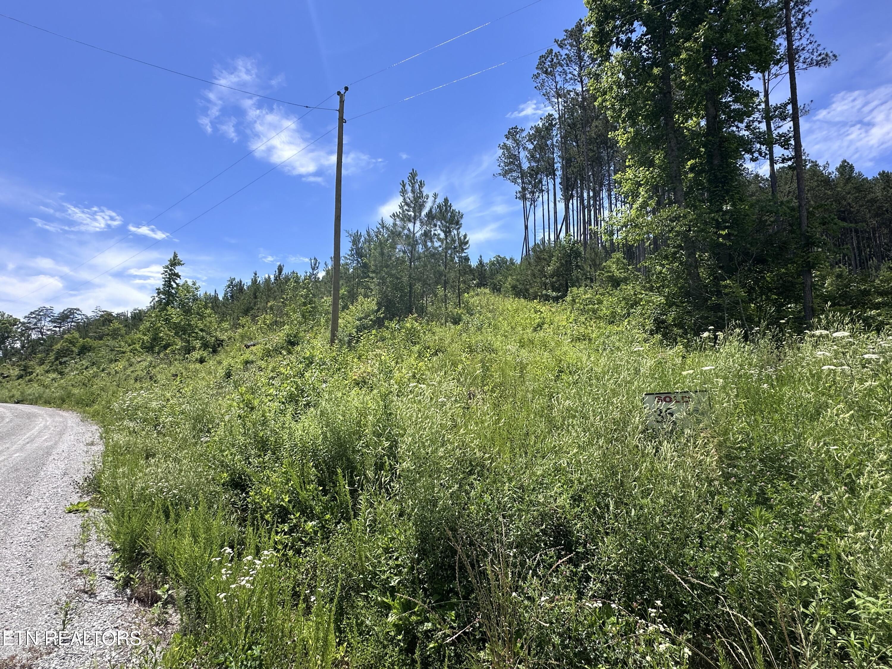 Lot 35 Winding Trail Vonore TN 37885