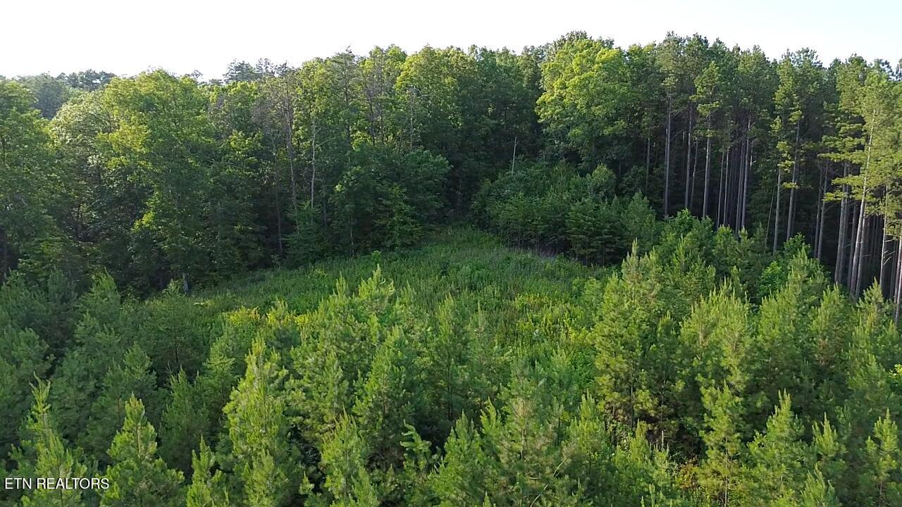 Lot 35 Winding Trail Vonore TN 37885