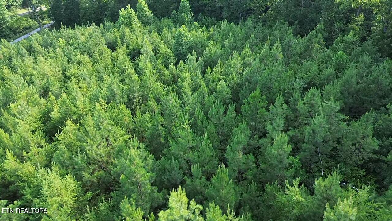 Lot 35 Winding Trail Vonore TN 37885