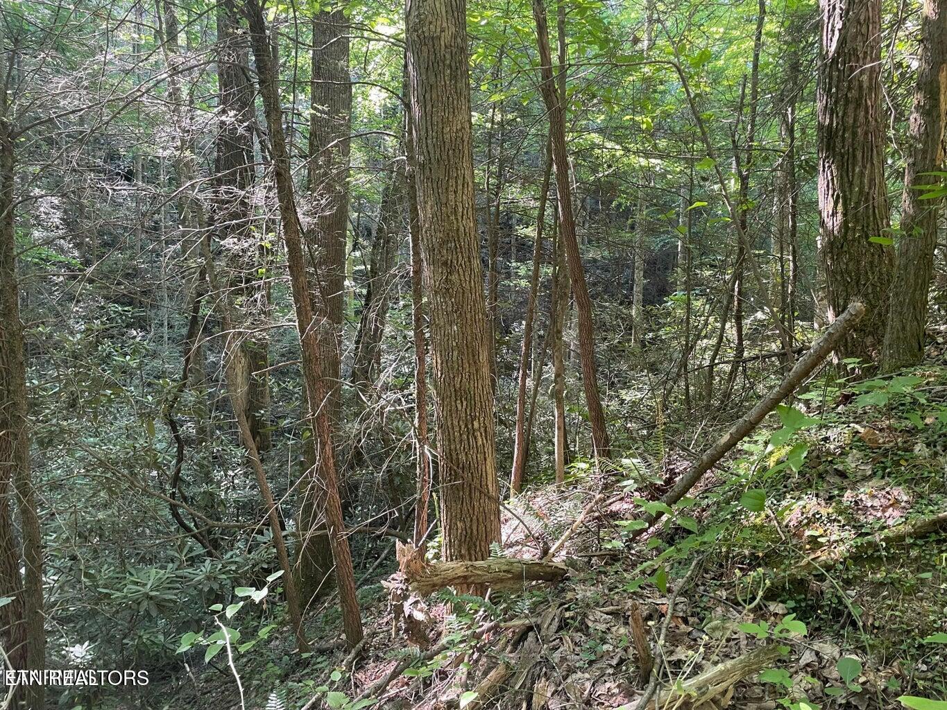 Lot 76 Sycamore Street Sevierville TN 37876