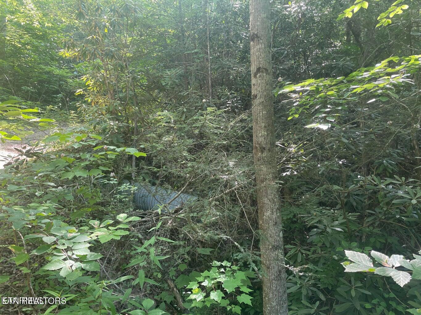 Lot 76 Sycamore Street Sevierville TN 37876