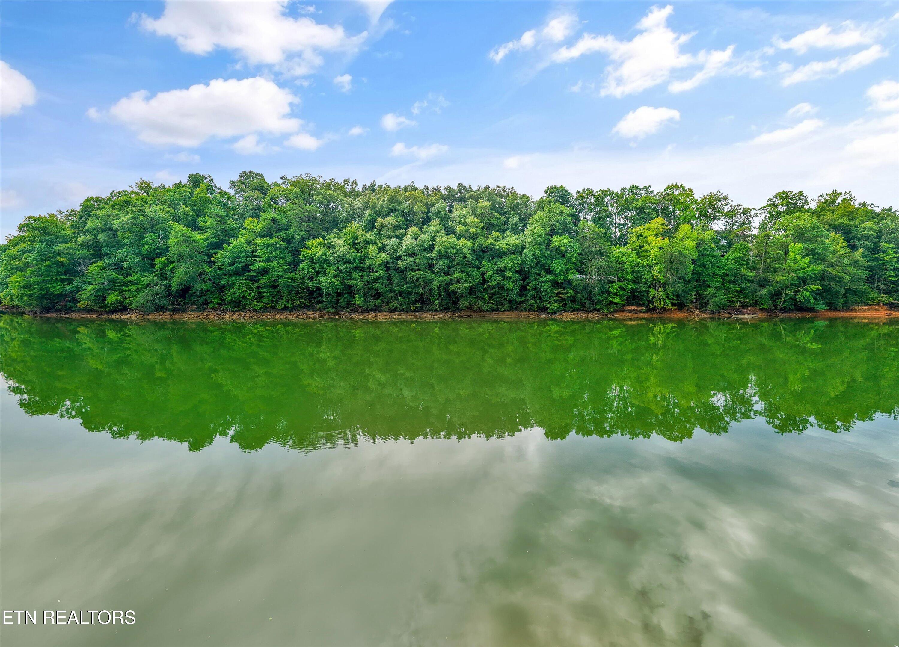 Foxfire Way Sevierville TN 37876