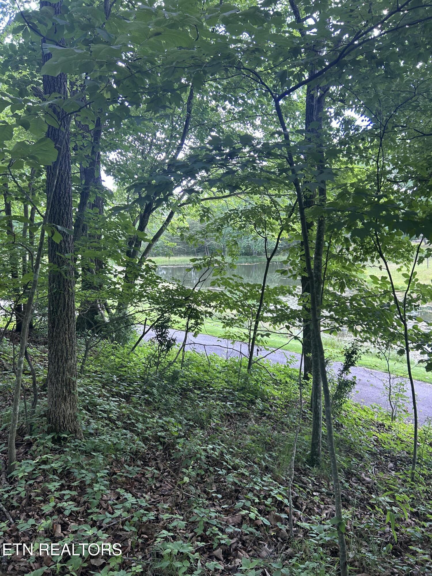 26 Rolling Green Court Fairfield Glade TN 38558