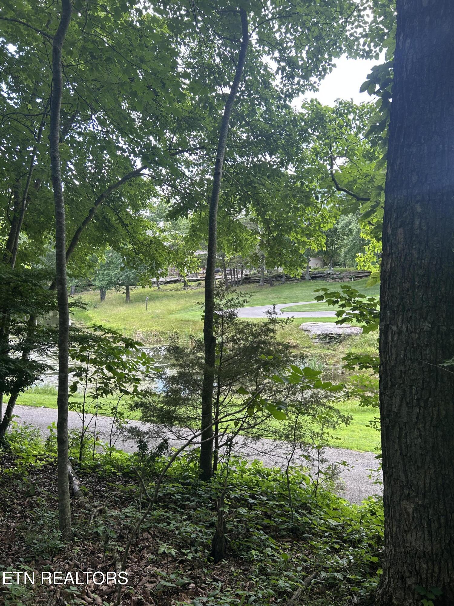 26 Rolling Green Court Fairfield Glade TN 38558