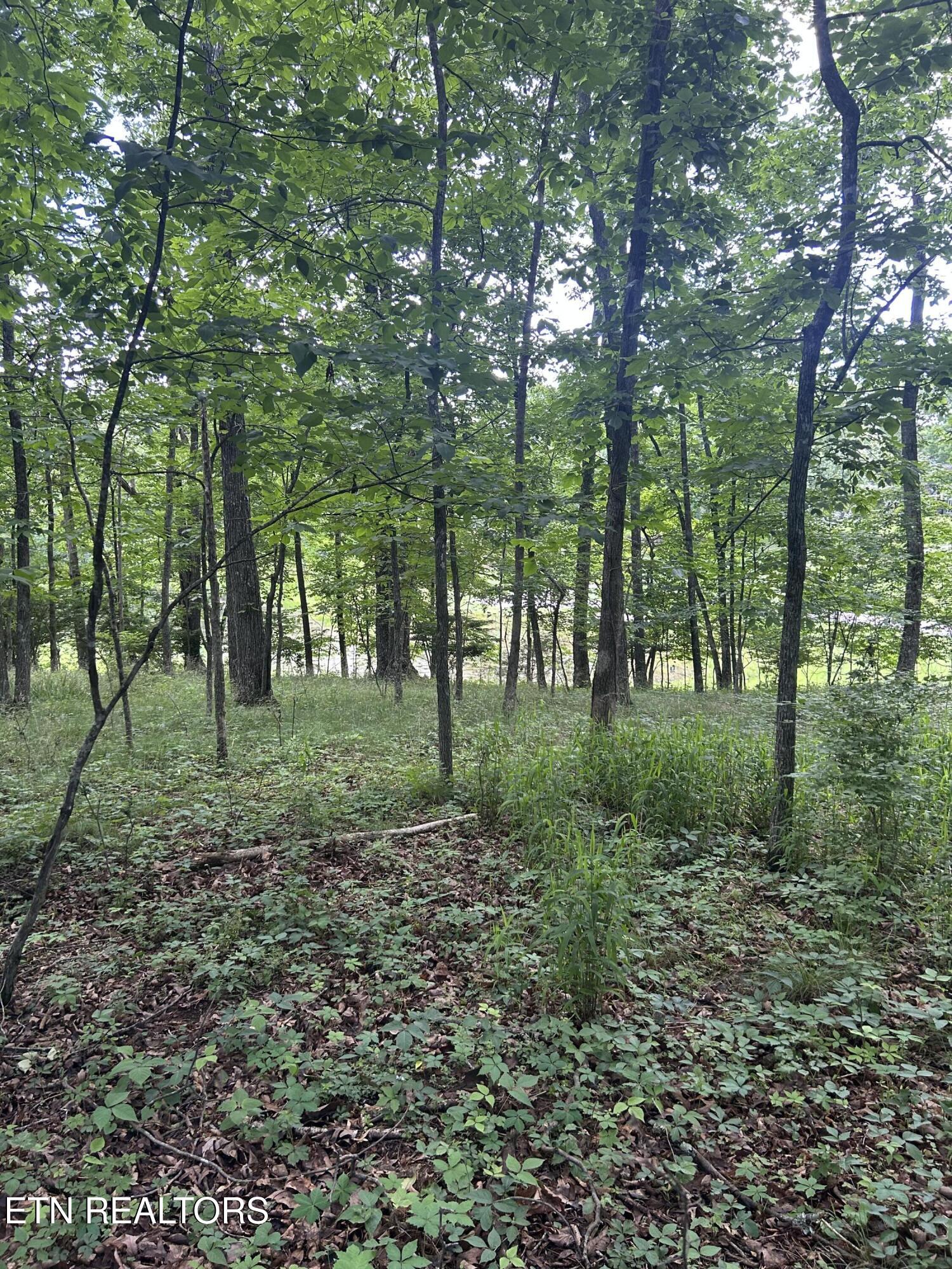 26 Rolling Green Court Fairfield Glade TN 38558
