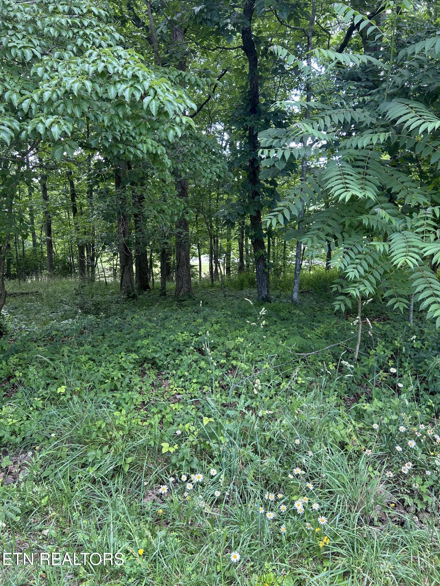 26 Rolling Green Court Fairfield Glade TN 38558