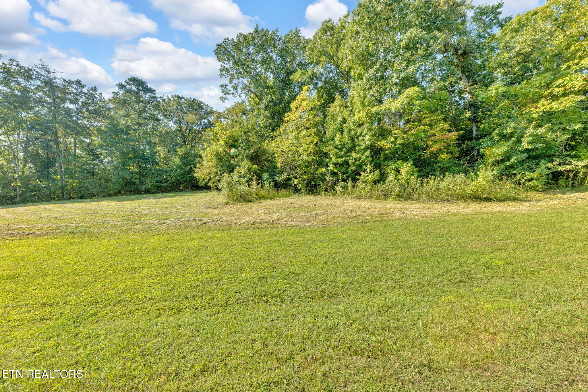 E Shore Drive Rockwood TN 37854