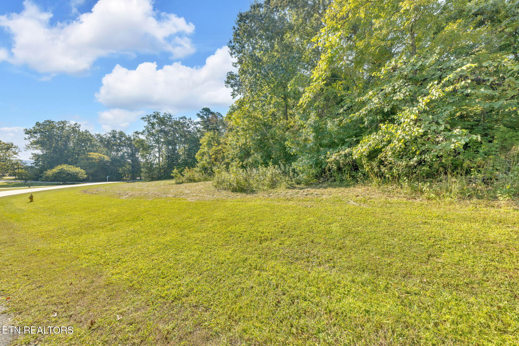 E Shore Drive Rockwood TN 37854