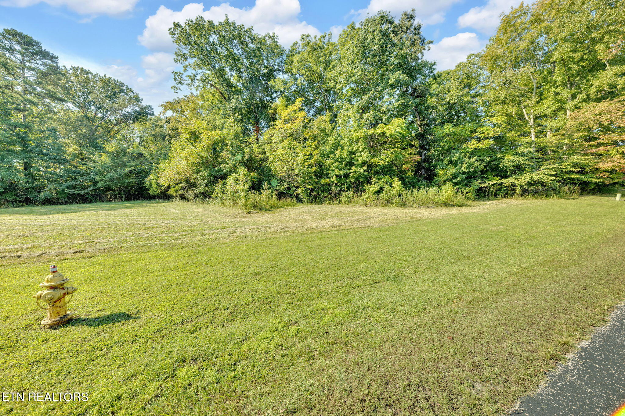 E Shore Drive Rockwood TN 37854