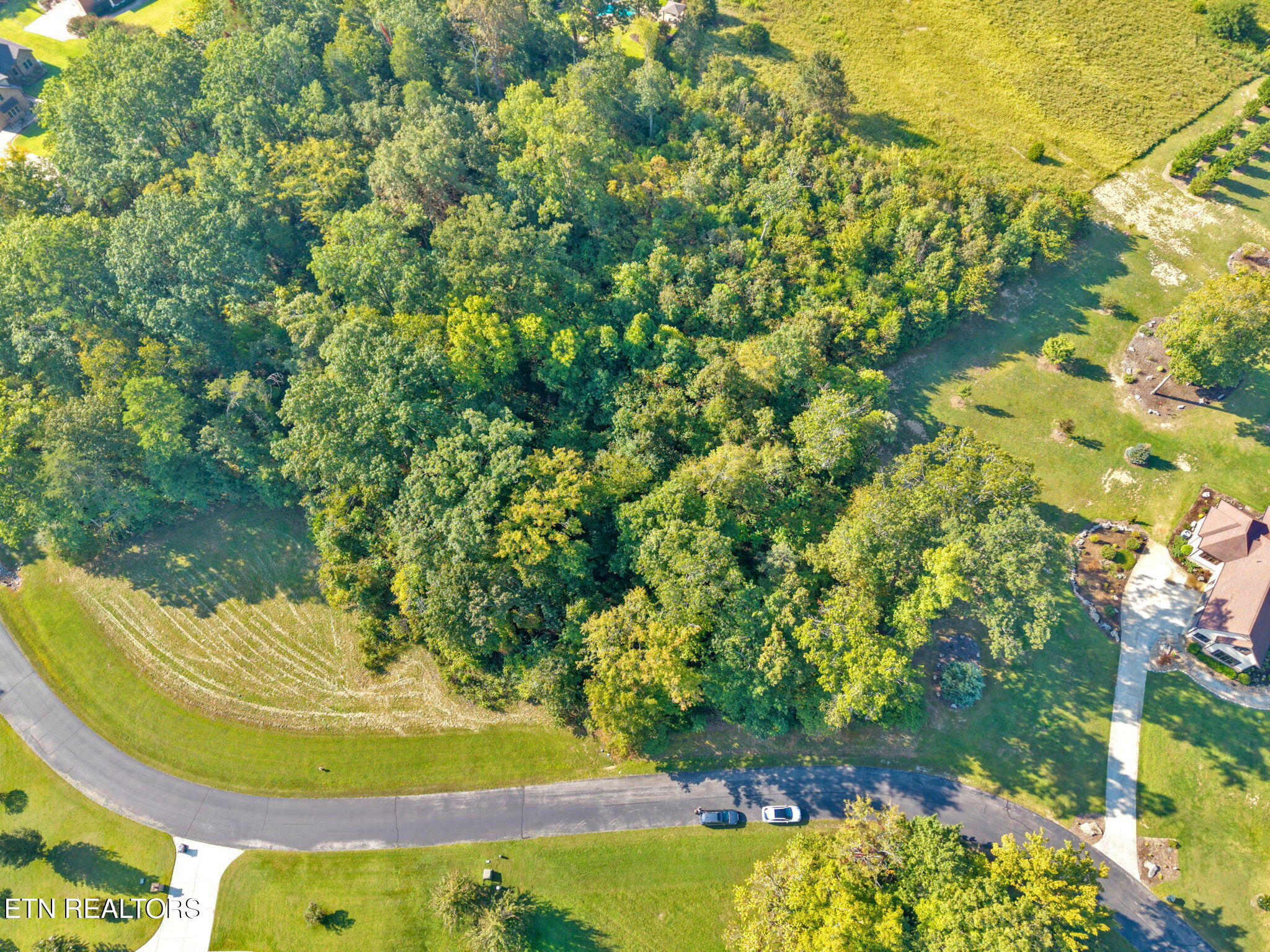 E Shore Drive Rockwood TN 37854