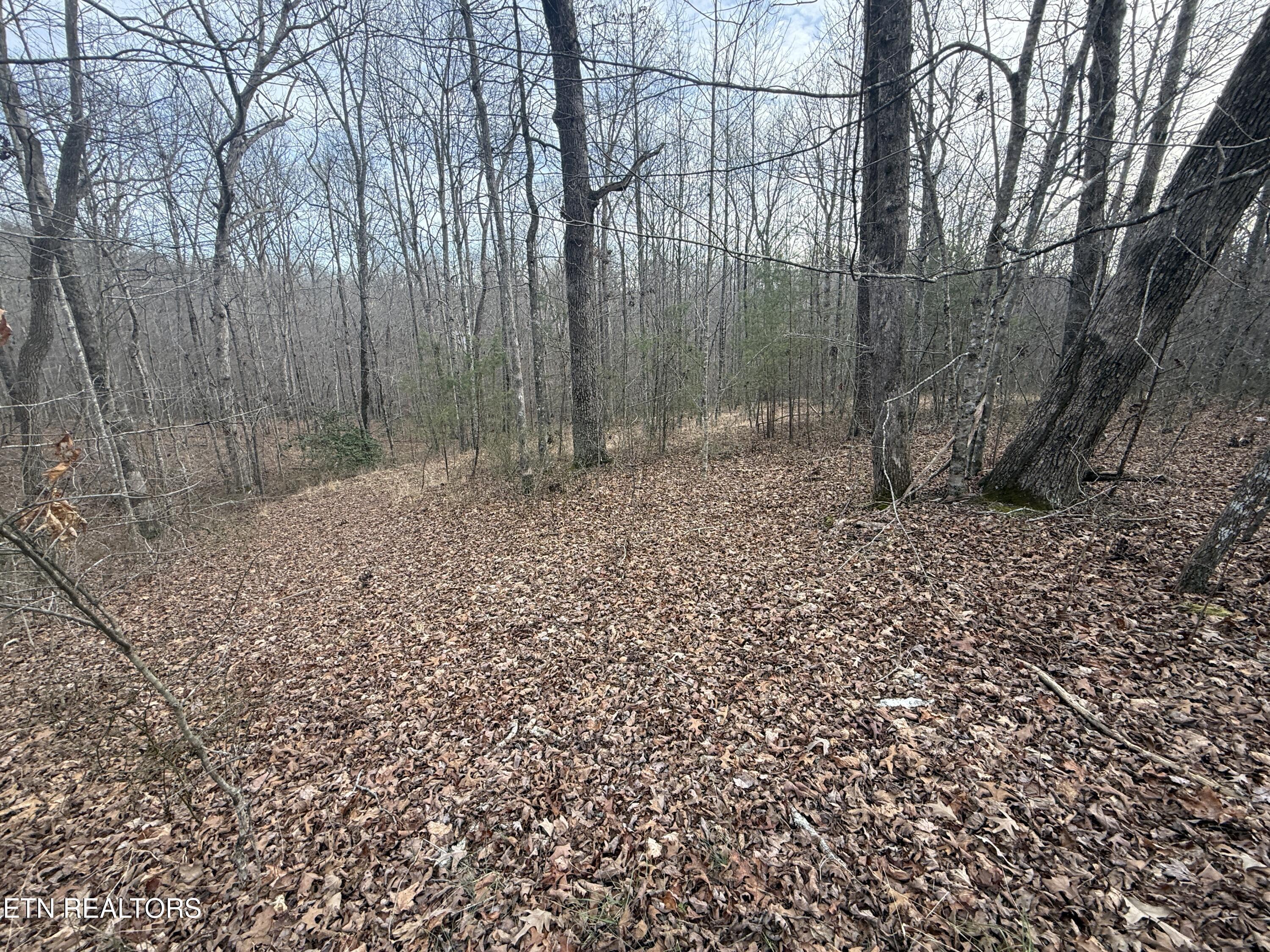 Lot 17 T Road Monterey TN 38574