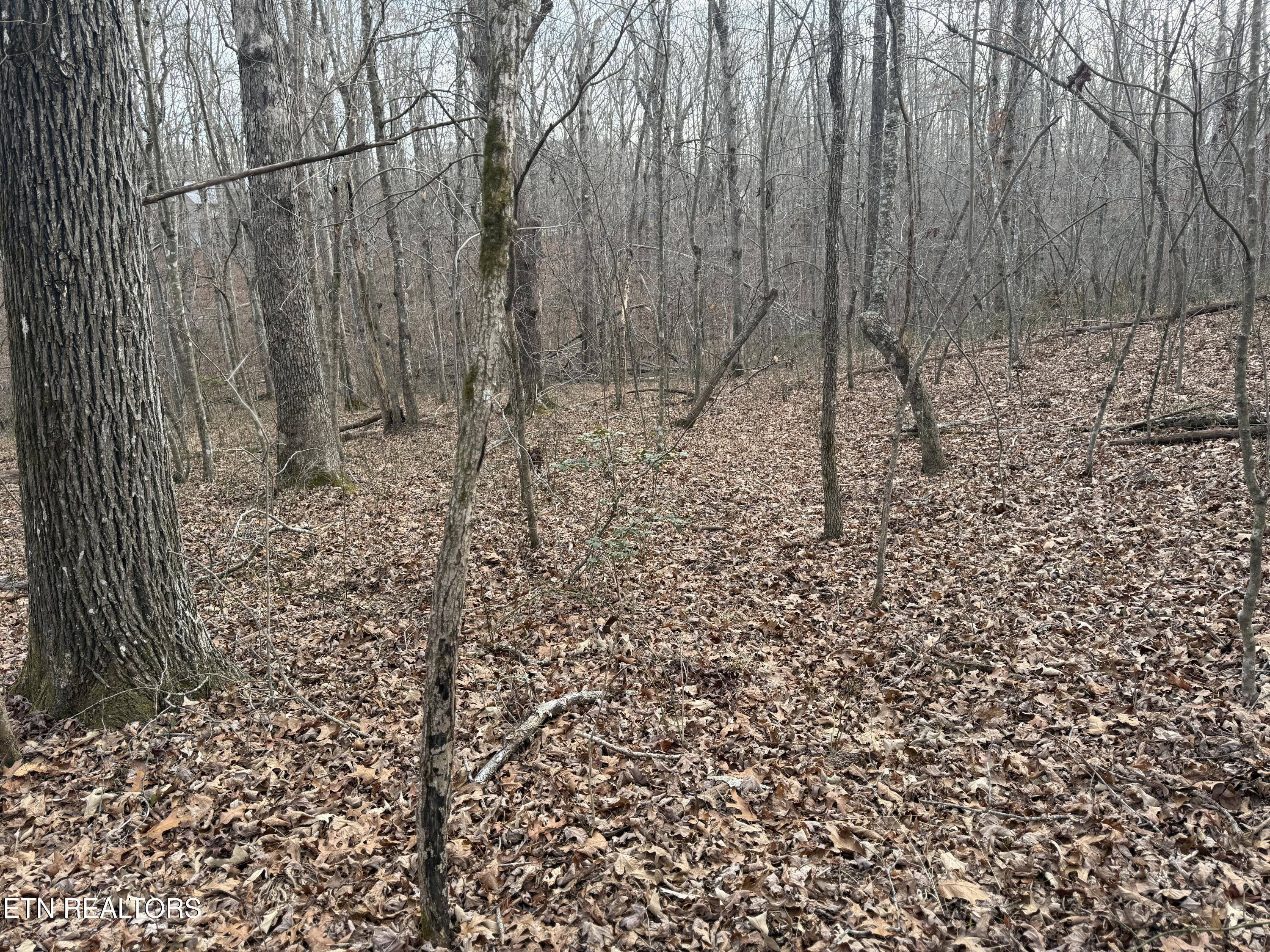 Lot 17 T Road Monterey TN 38574