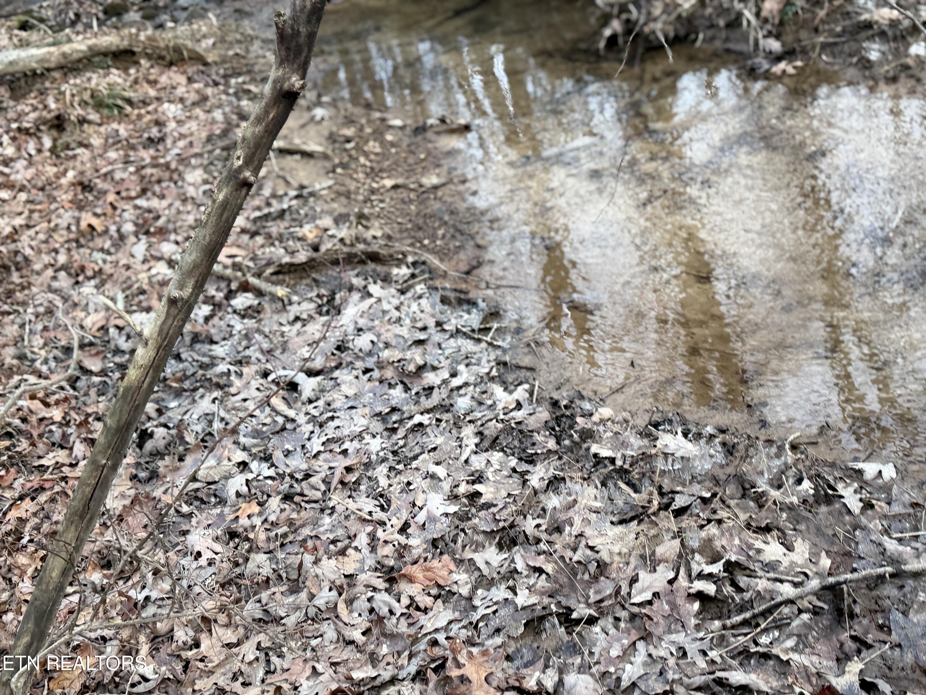Lot 17 T Road Monterey TN 38574
