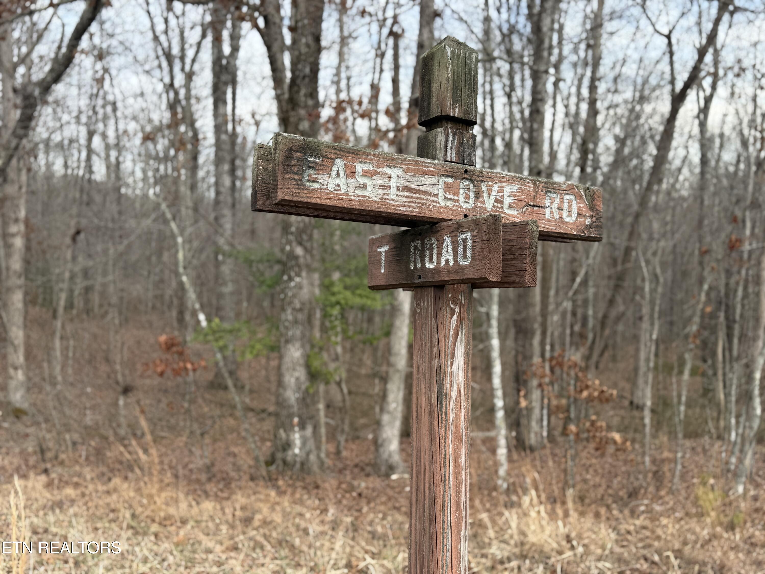 Lot 17 T Road Monterey TN 38574