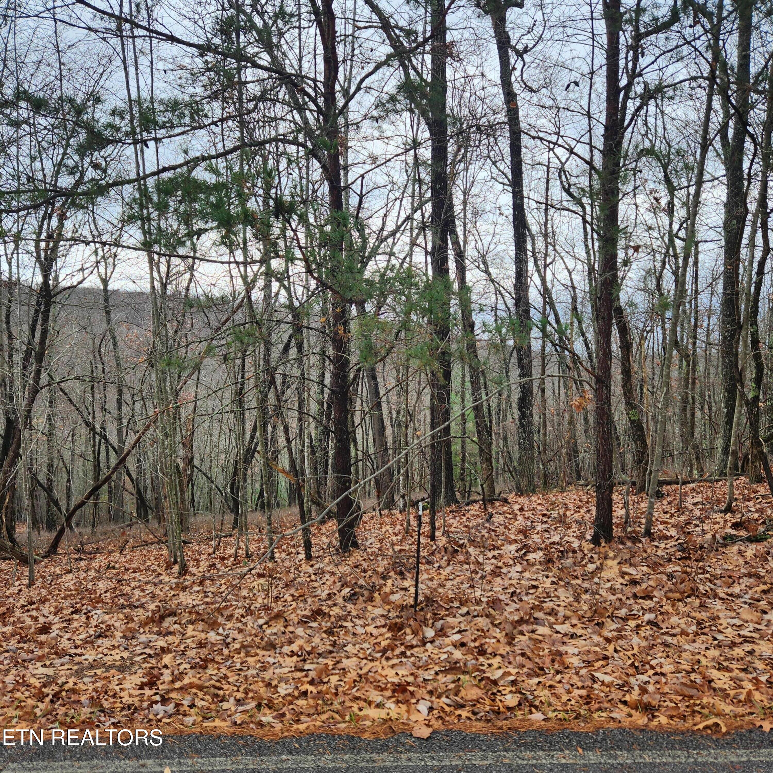 320 Rotherham Drive Crossville TN 38558