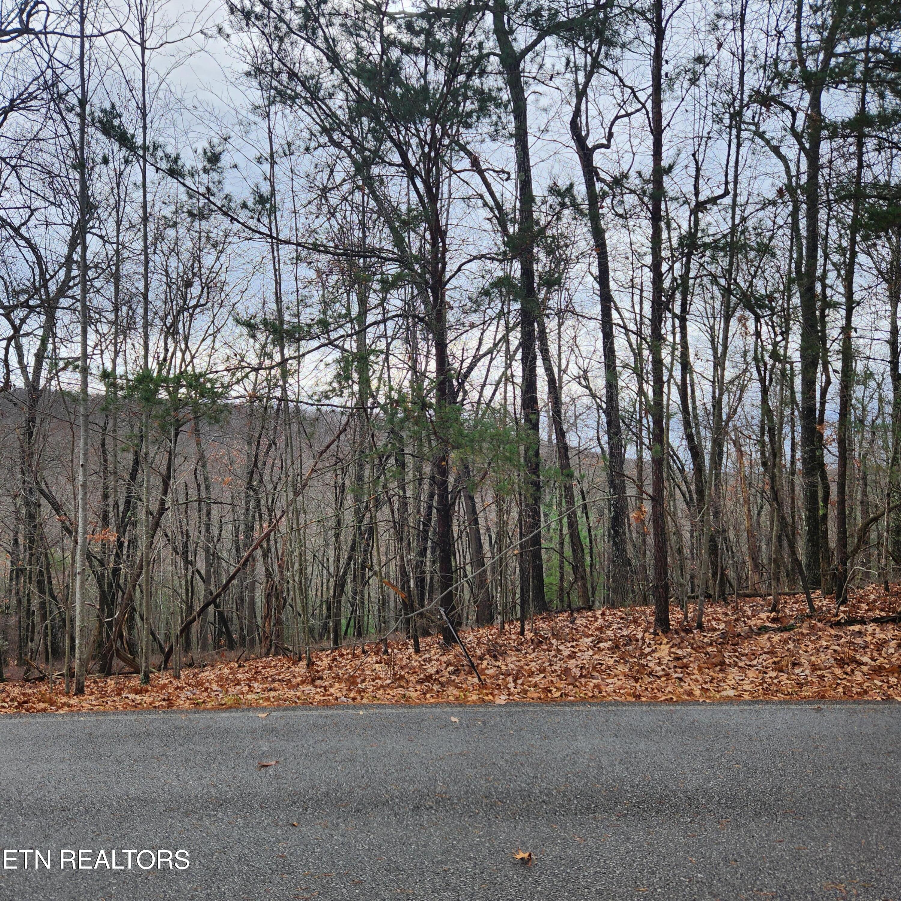 320 Rotherham Drive Crossville TN 38558